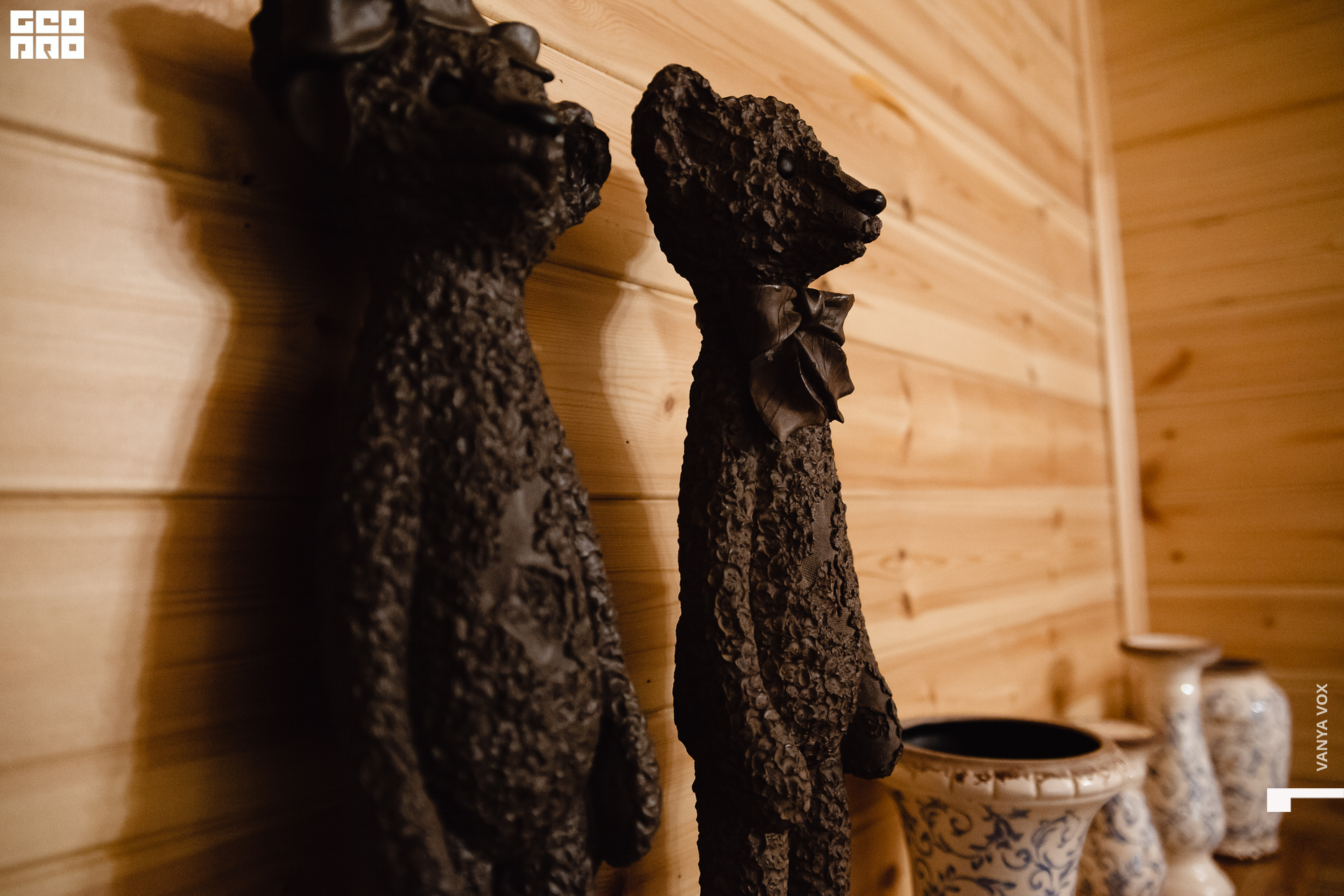 2020-02-14 18-45-00_vox_022.jpg