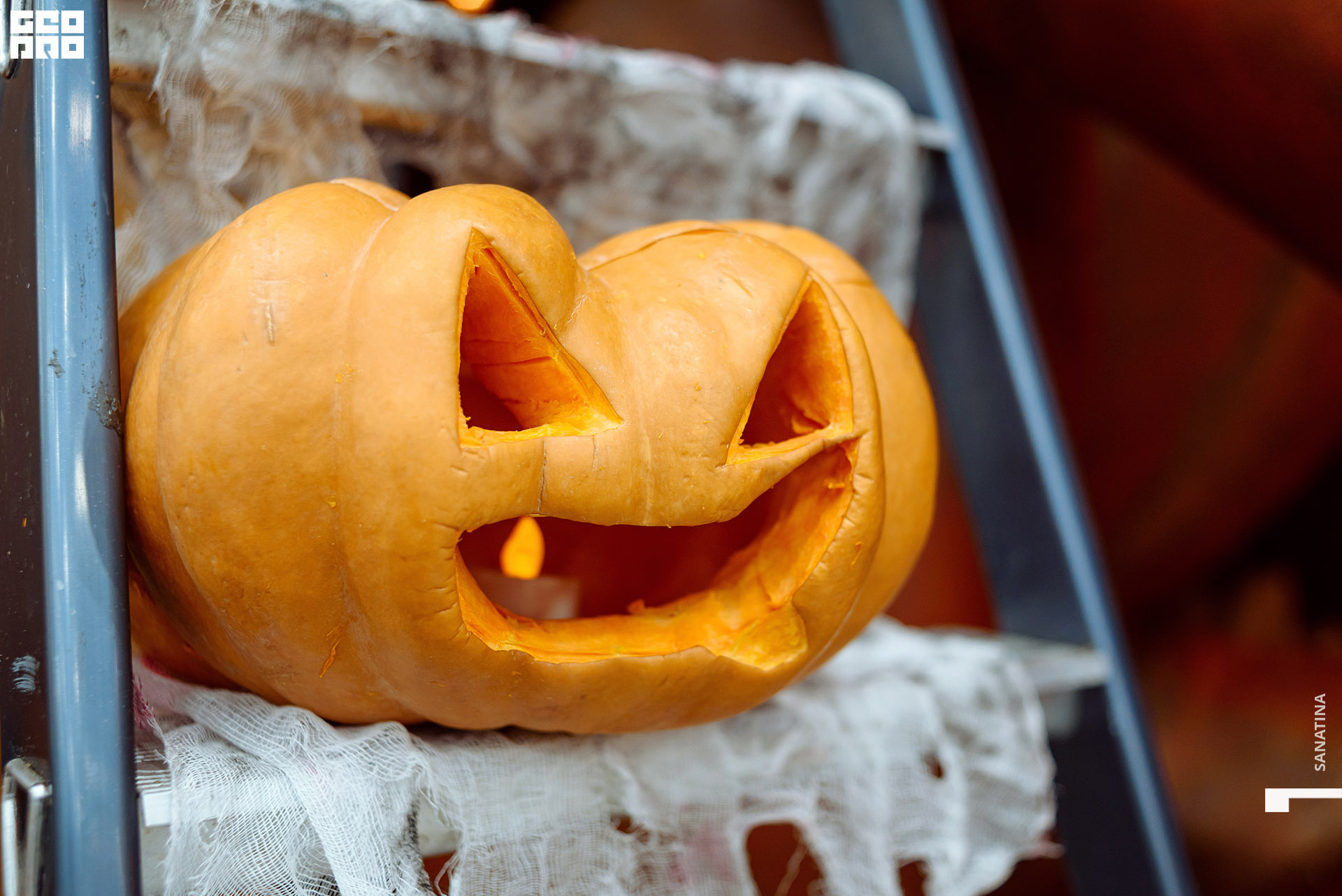 0064-2019-11-01-22-19-44 - Sanatina.jpg