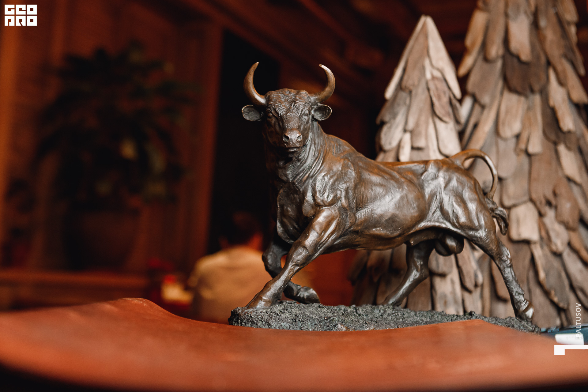 216-2019-12-28-20-50-02 - Paltusov.jpg