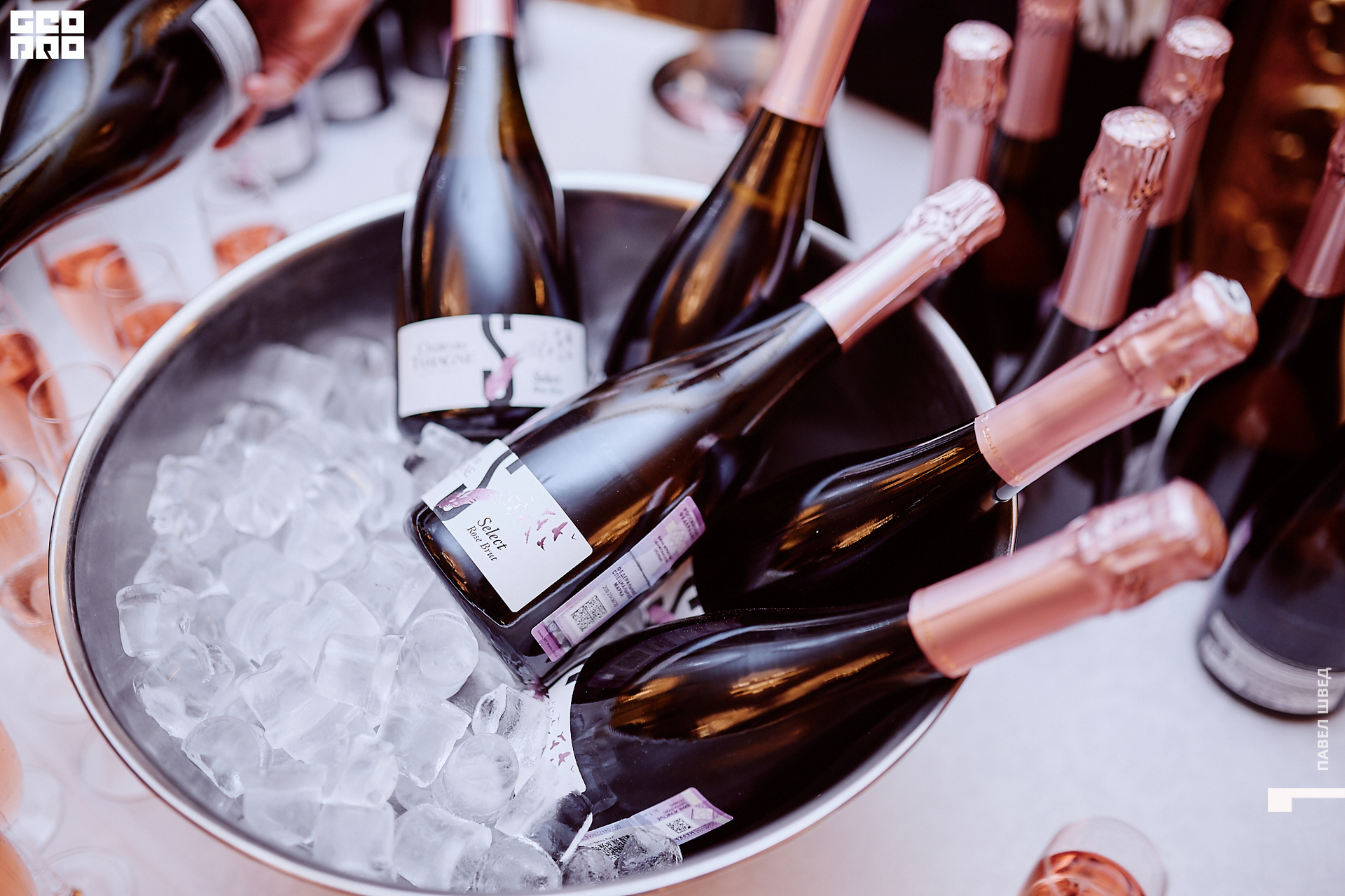 2019-11-06 11-30-00_SHVED_0444.jpg