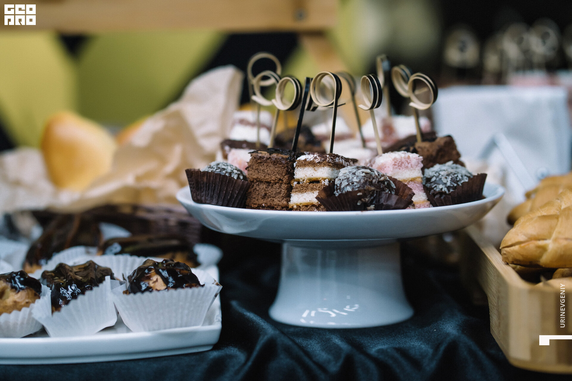 29.11. octagon fit (50).jpg