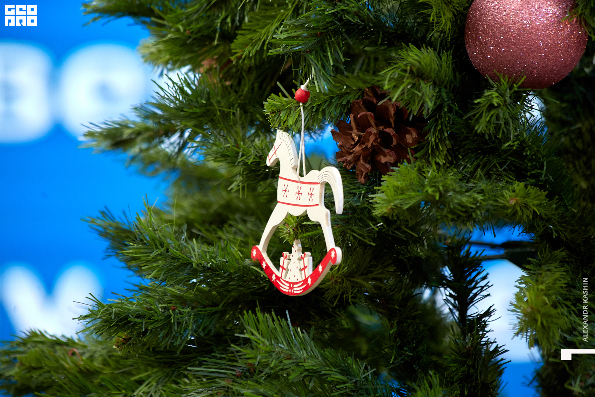 2019-12-21 11-00-00_Kashin_0082.jpg