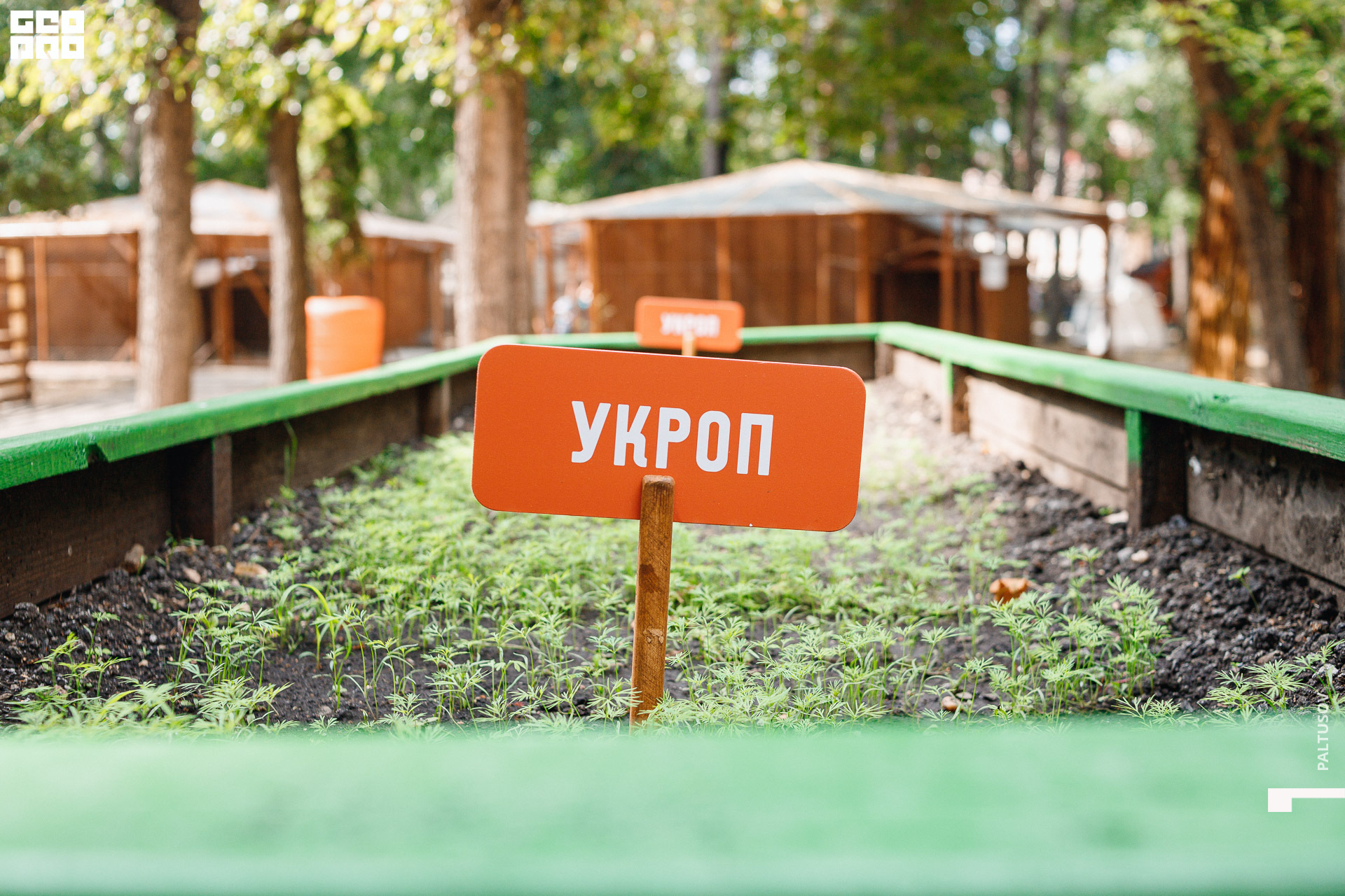 020-2020-07-25-15-54-37 - Paltusov.jpg