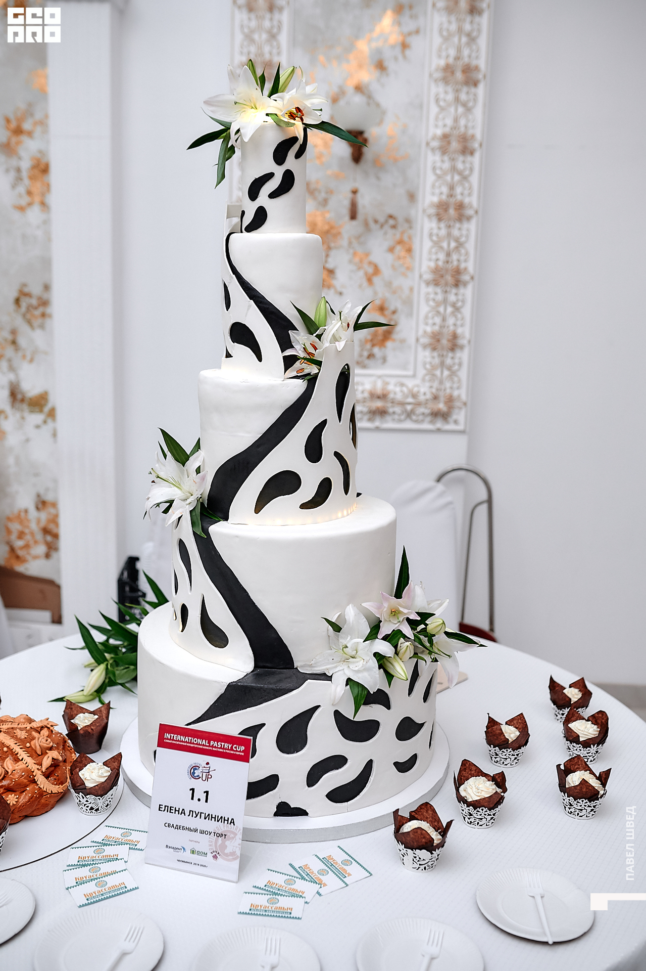 2019-11-24 13-10-00_SHVED_0007.jpg