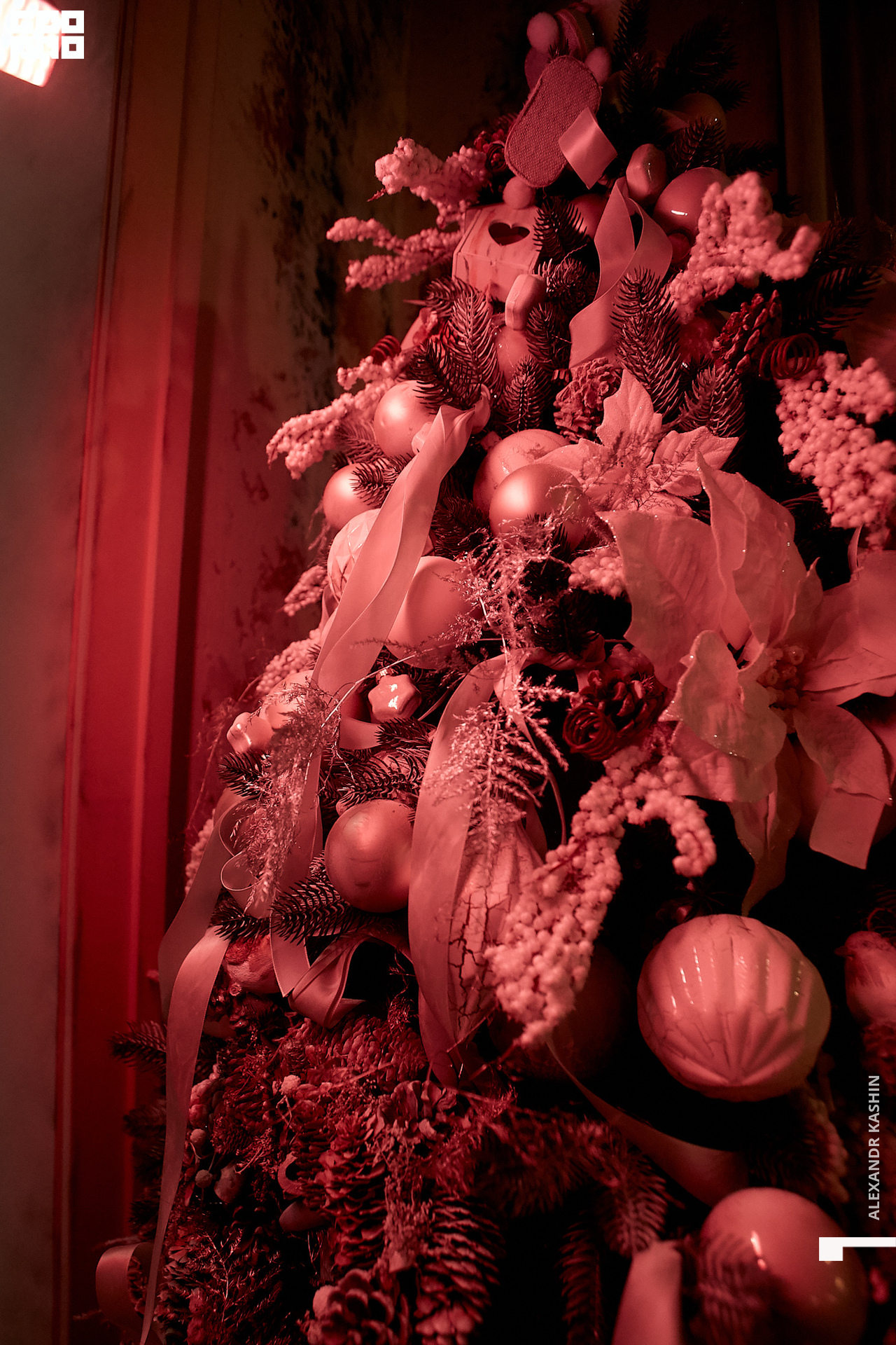 2020-01-03 21-30-00_Kashin_0038.jpg