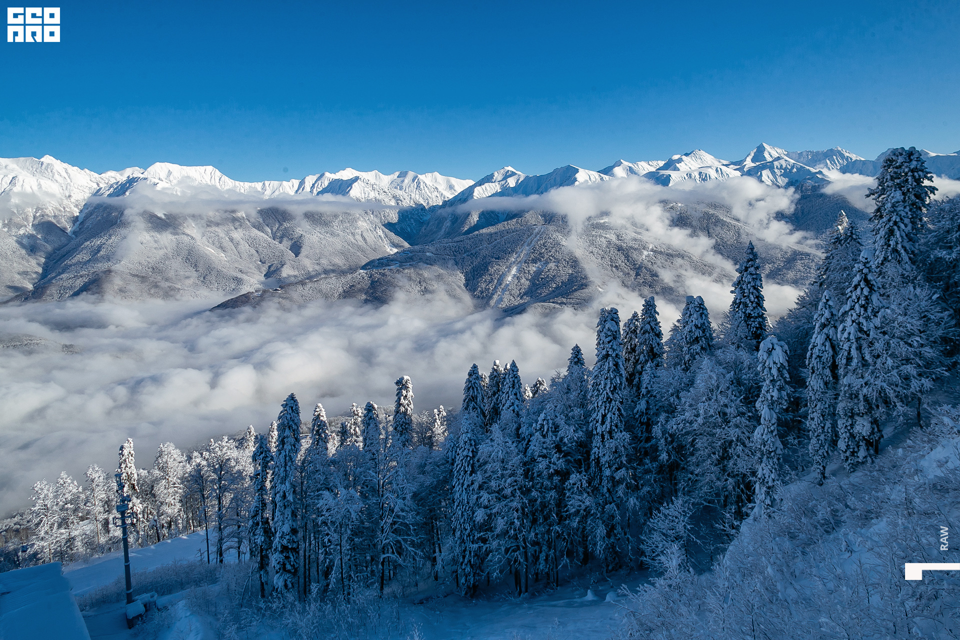 jpg-10 копия.jpg