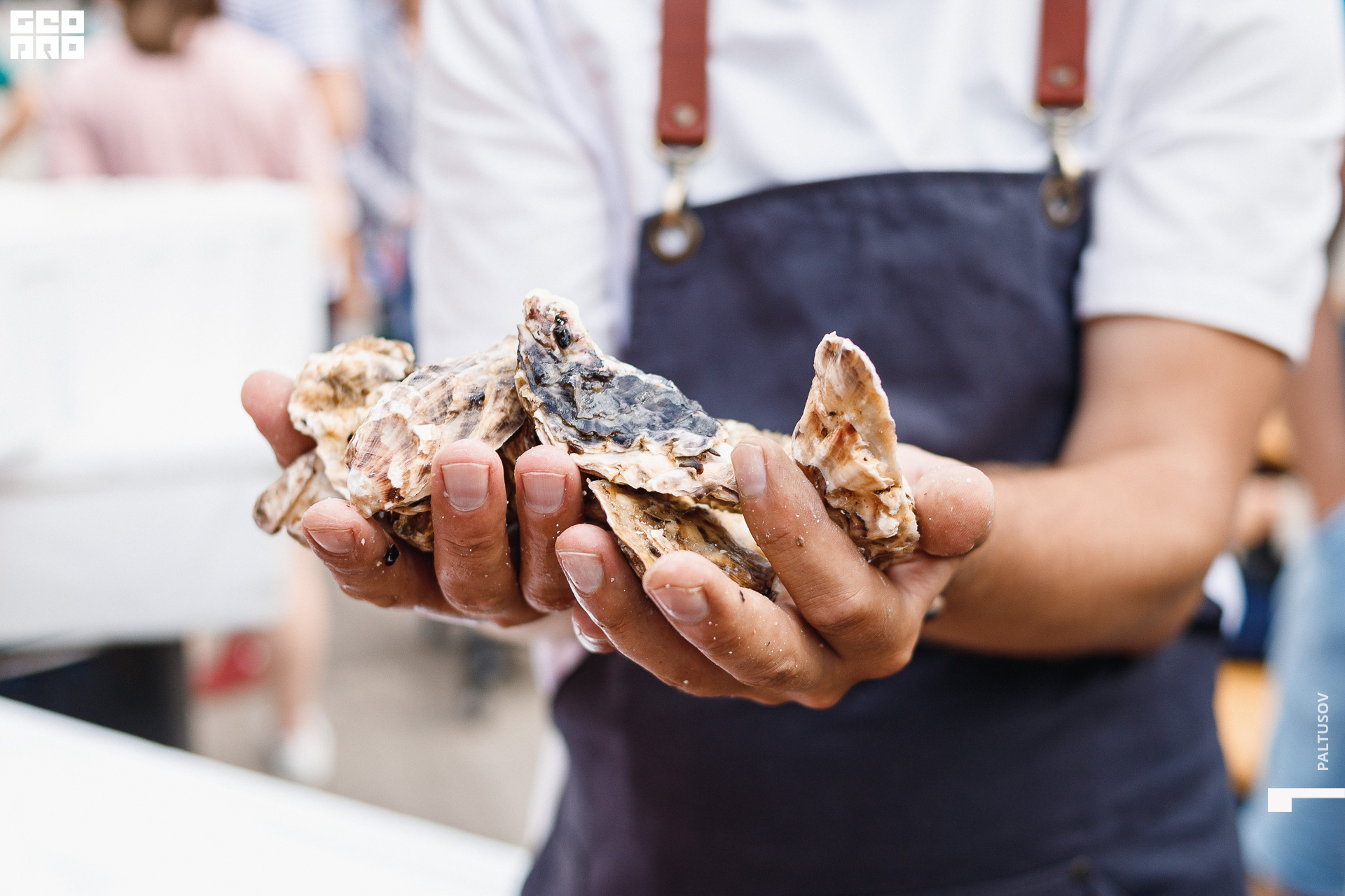 007-2020-07-25-15-37-32 - Paltusov.jpg