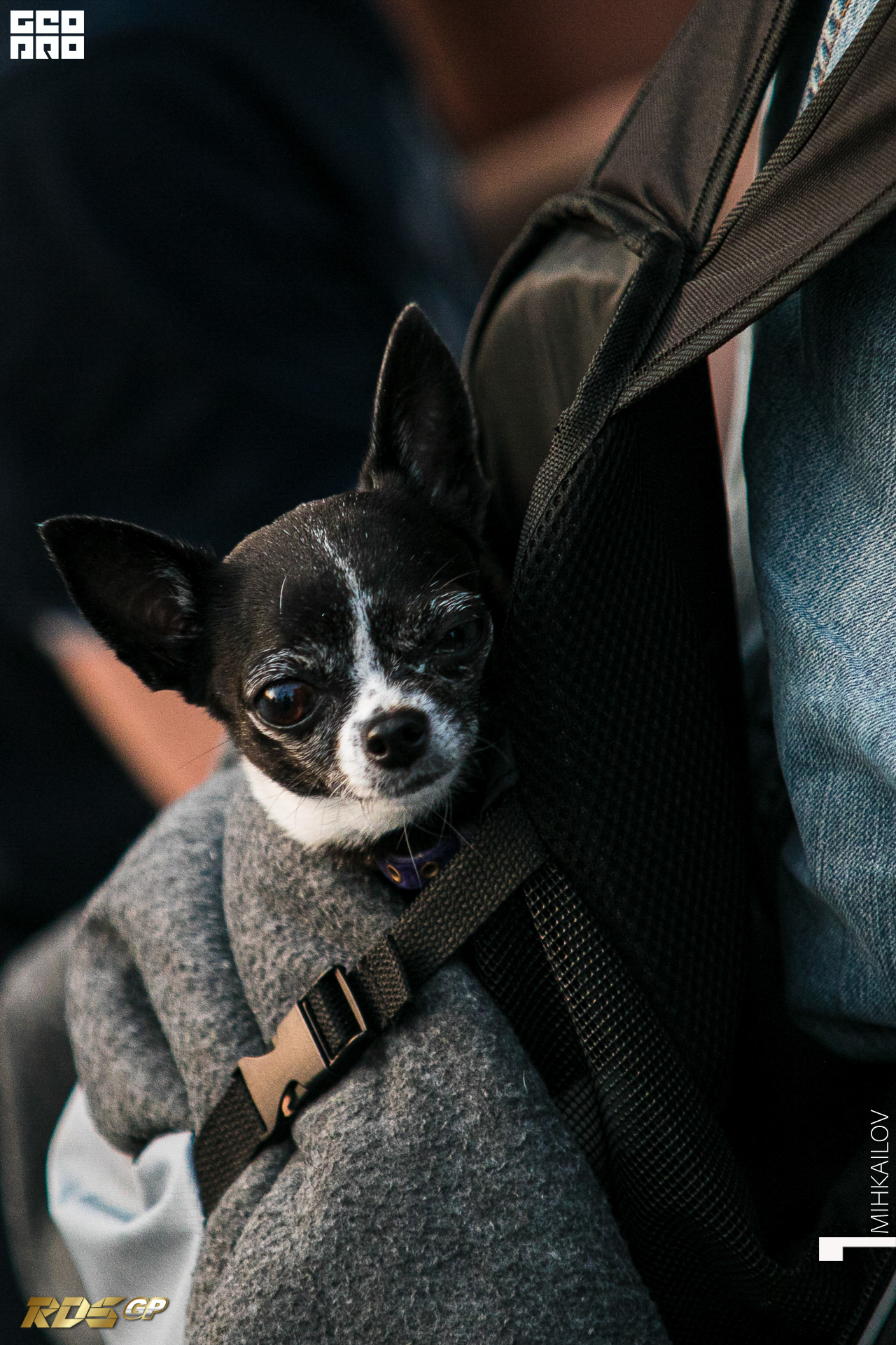 313-2019-10-19-19-25-06-18-20.10.19 - RDS GP - Mikhailov.JPG