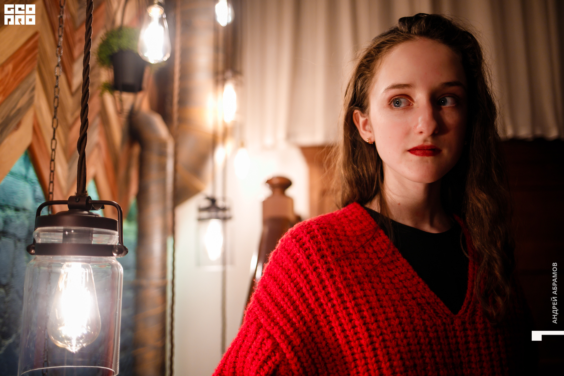 061219 Птичка Абрамов  0011.jpg