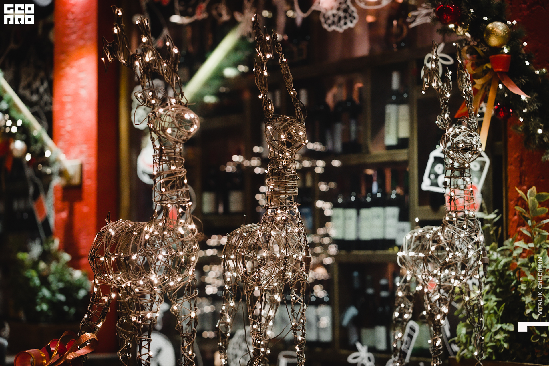 Вино и Сыр 10 янв_-222.jpg