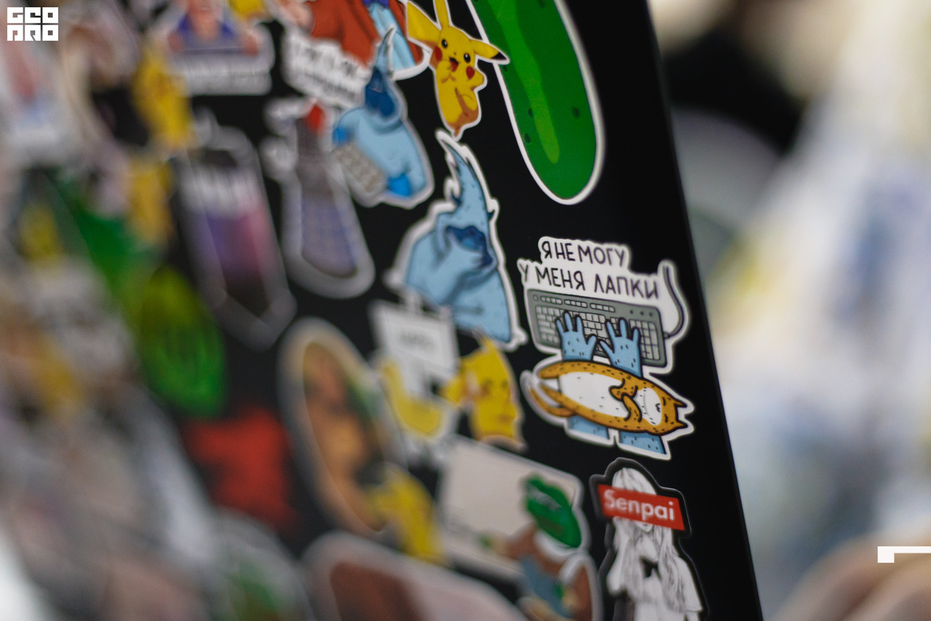 2019-11-30 10-00-00_svirkova_113.jpg