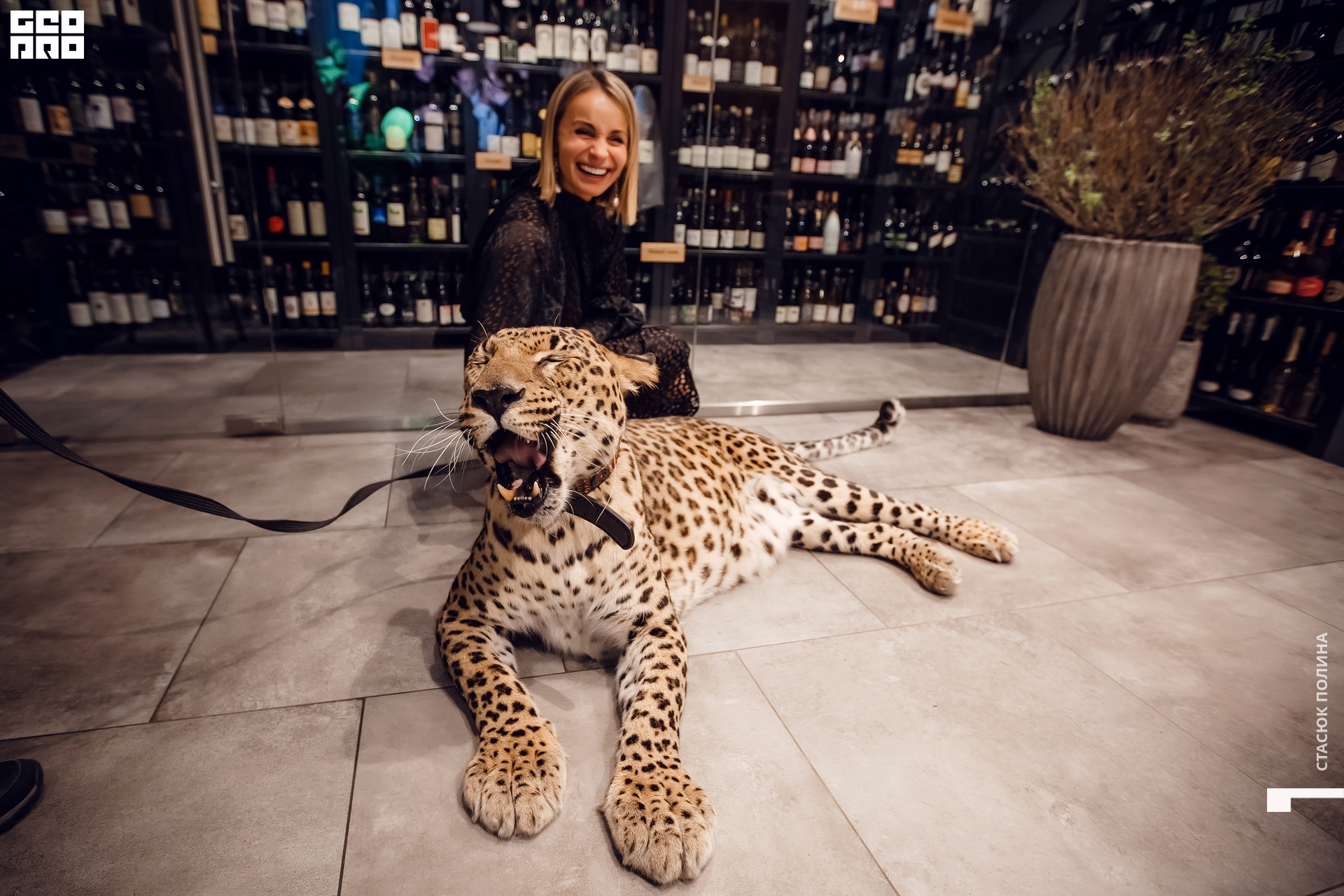 кино вино и домино - 148.jpg