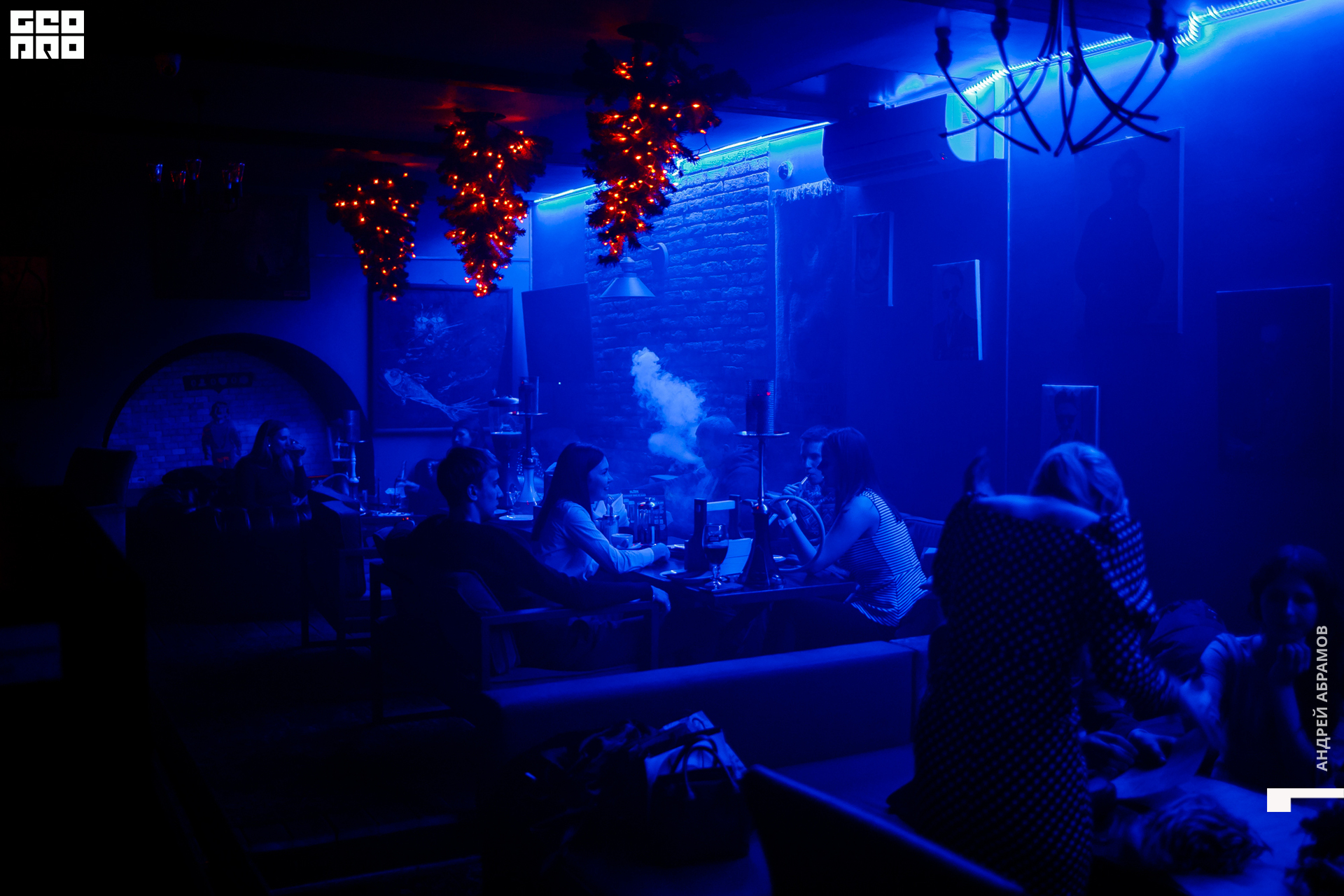 231119 Шишка Абрамов 0117.jpg