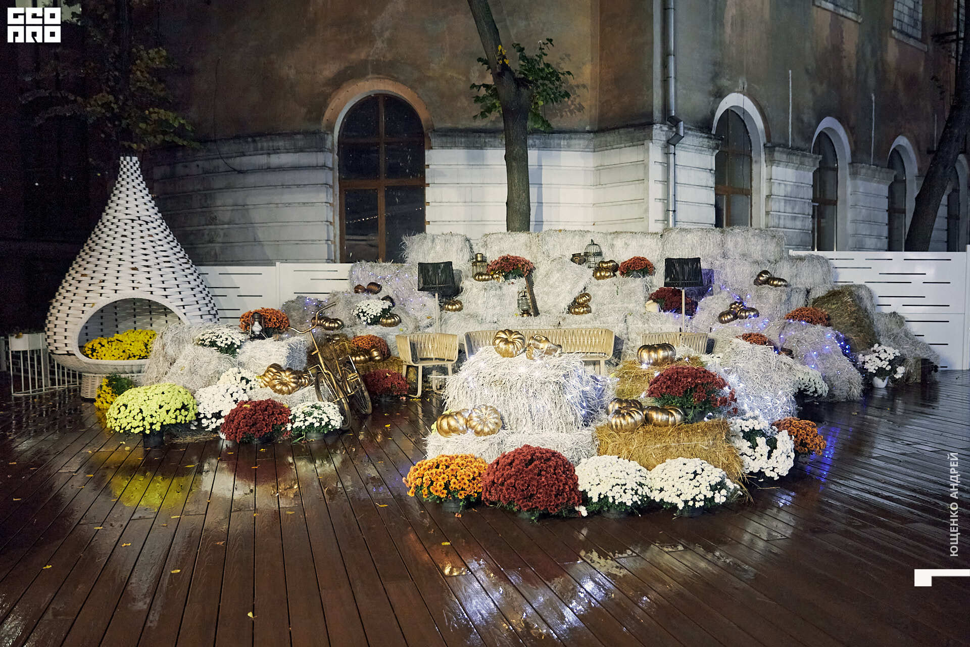 105 IMG_3108  FHD.jpg