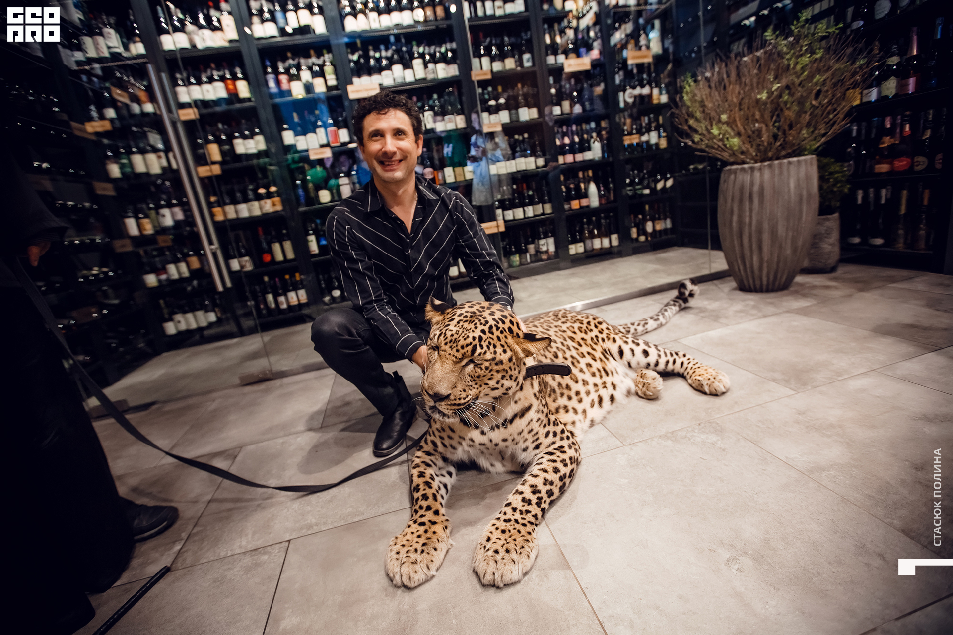 кино вино и домино - 193.jpg