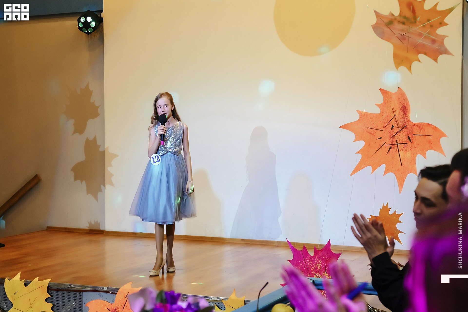 11.11.2019 мисс талант-306.jpg