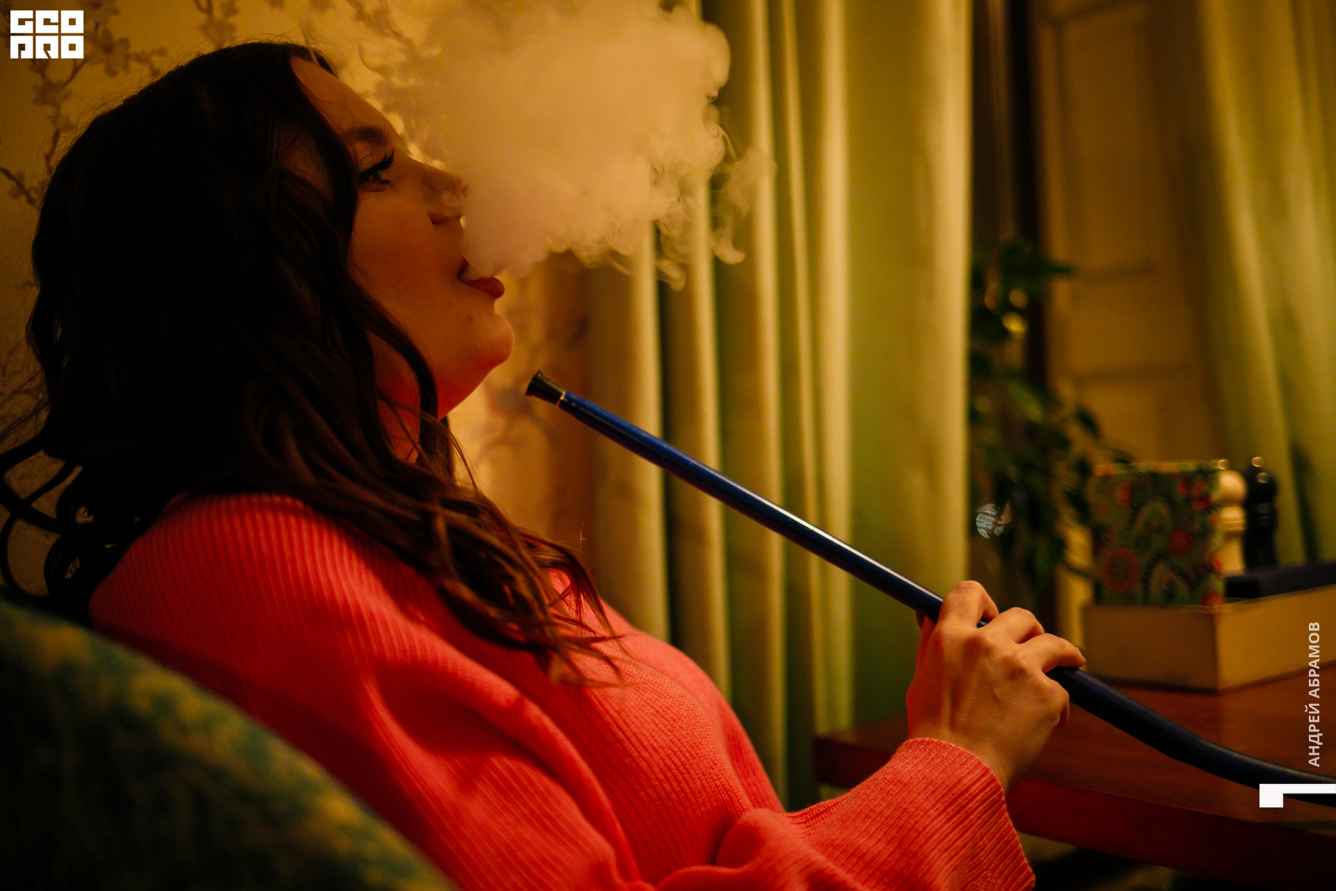 221119 Птичка Абрамов 0048.jpg