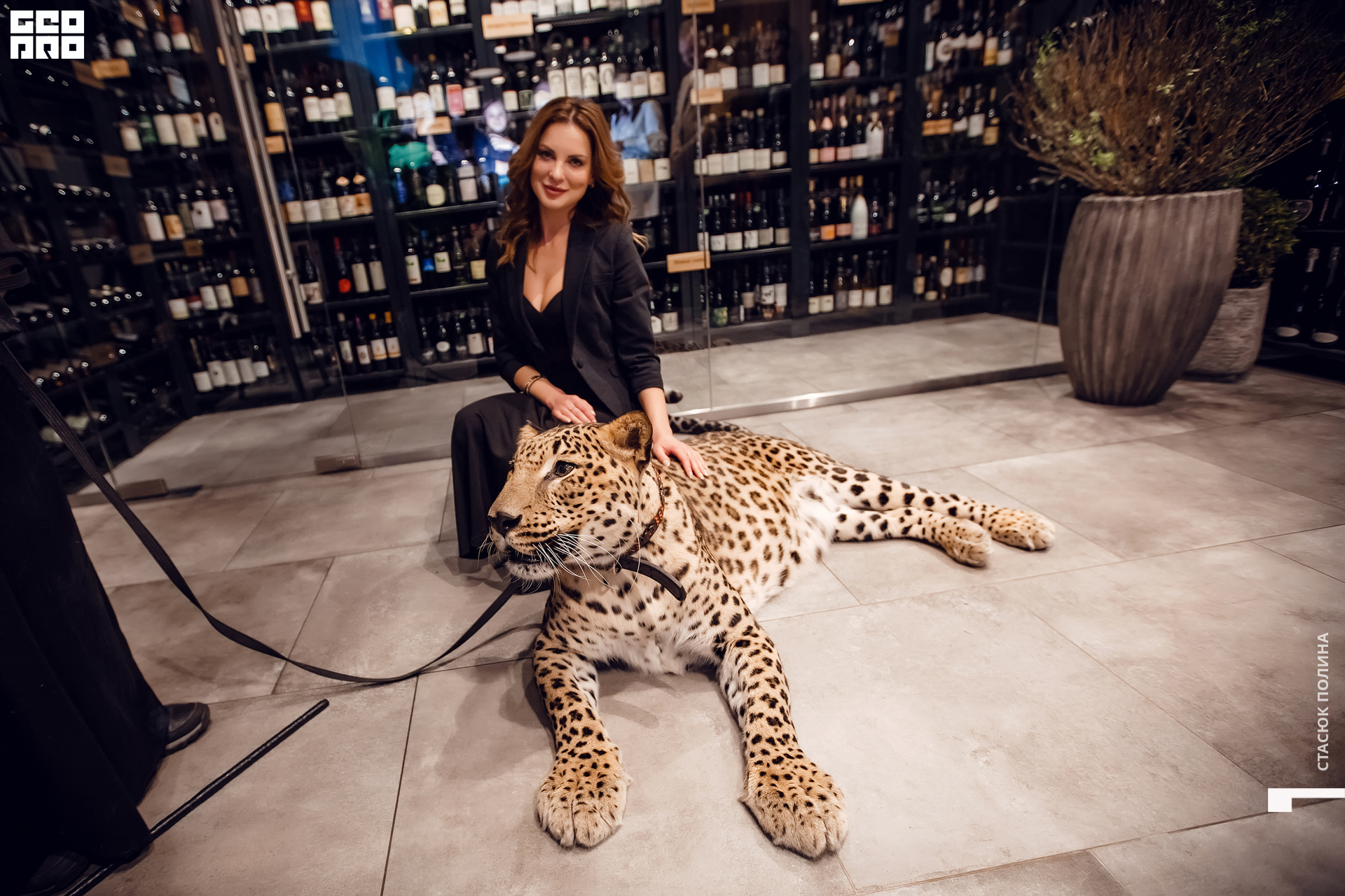 кино вино и домино - 173.jpg