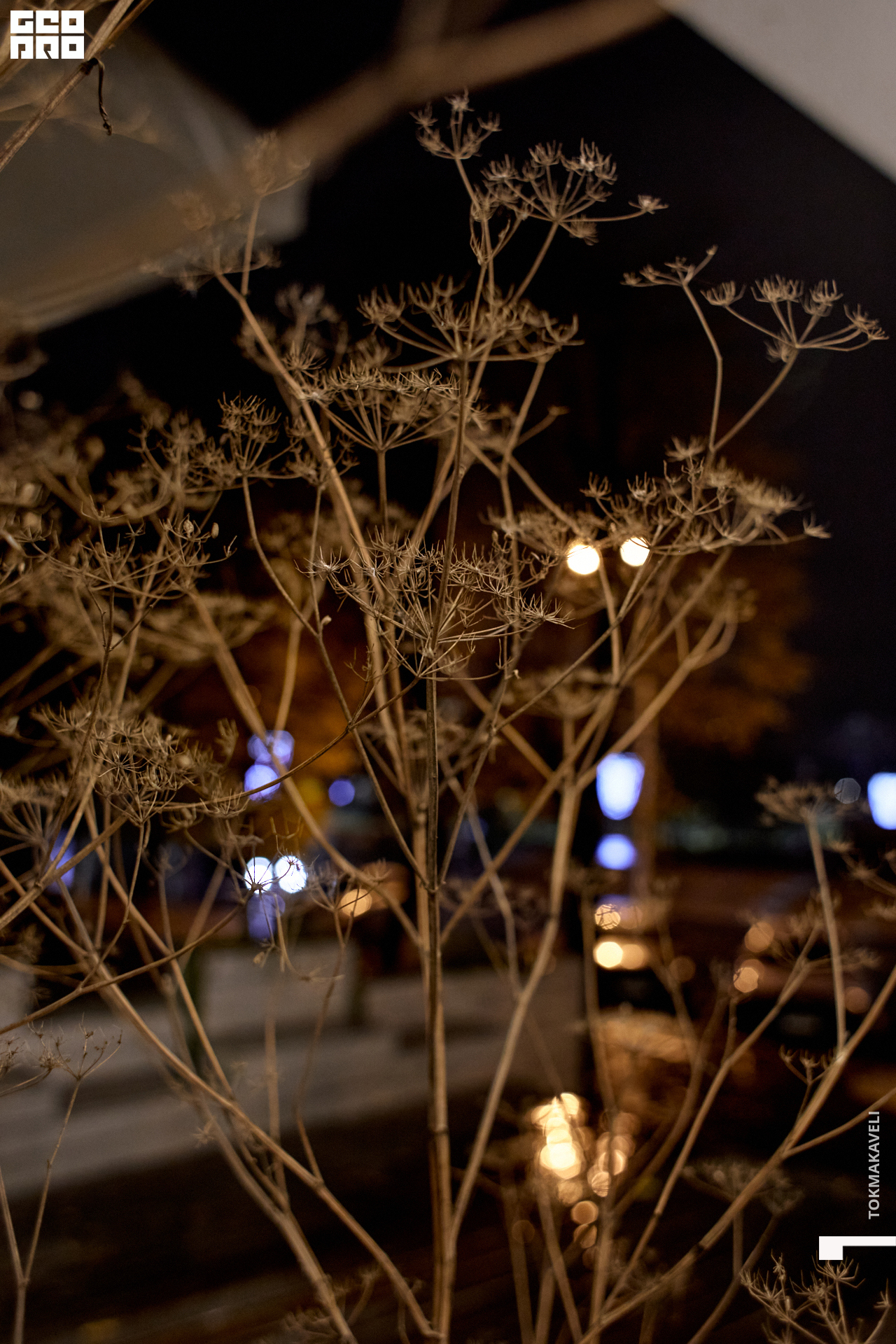 tokmakaveli 3004.jpg