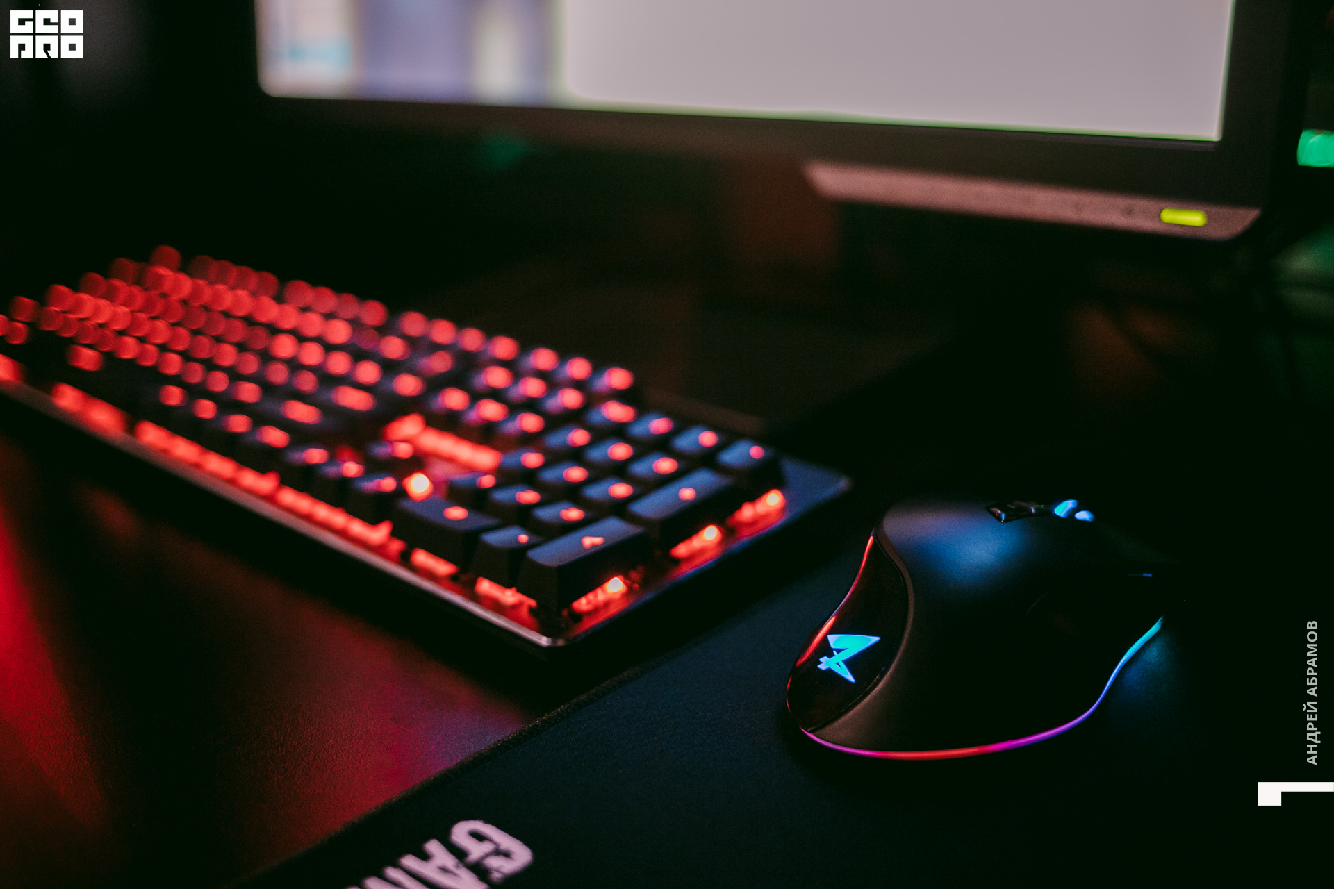 171019 Octagon Абрамов0069.jpg