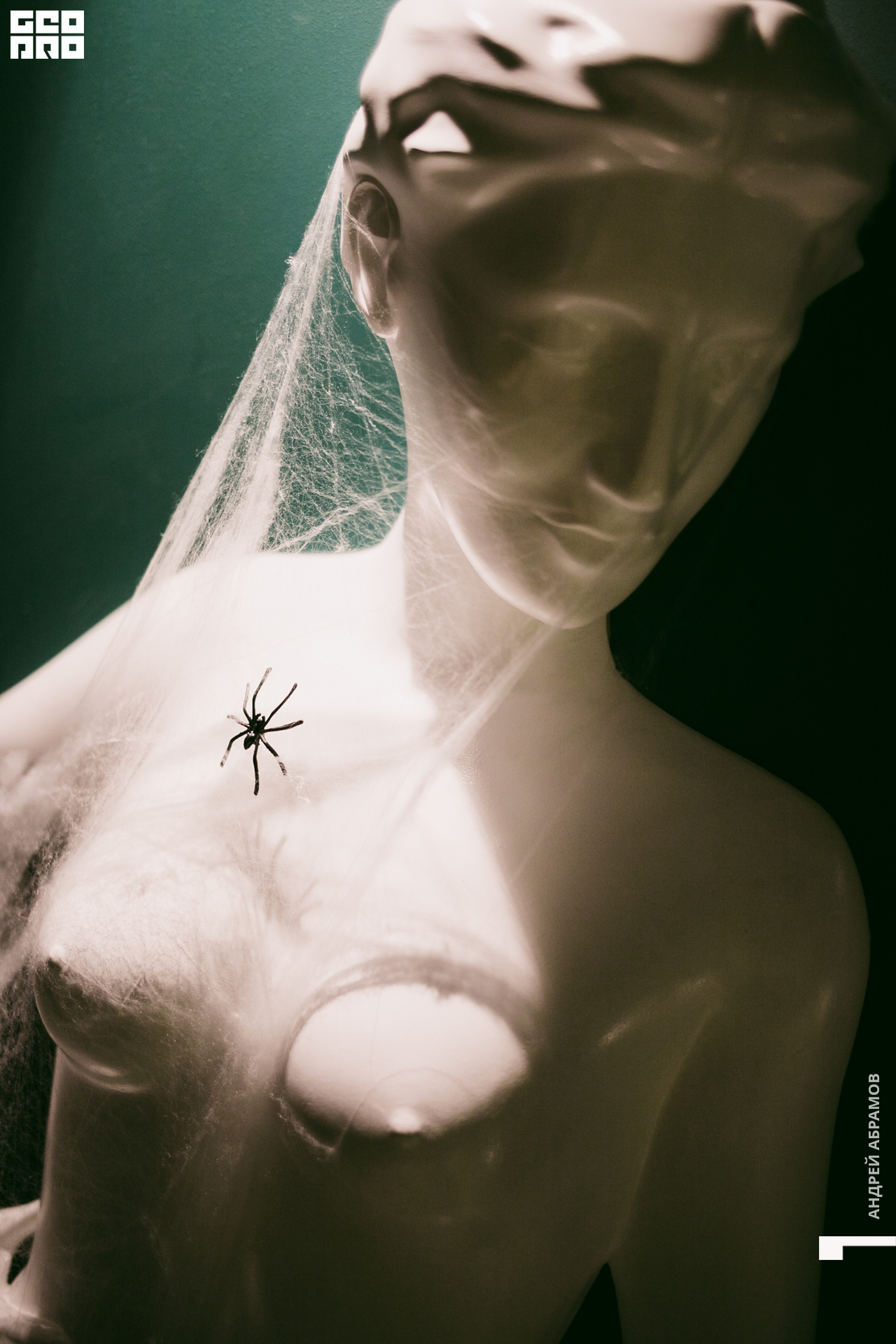 011119 5561 Абрамов 0008.jpg