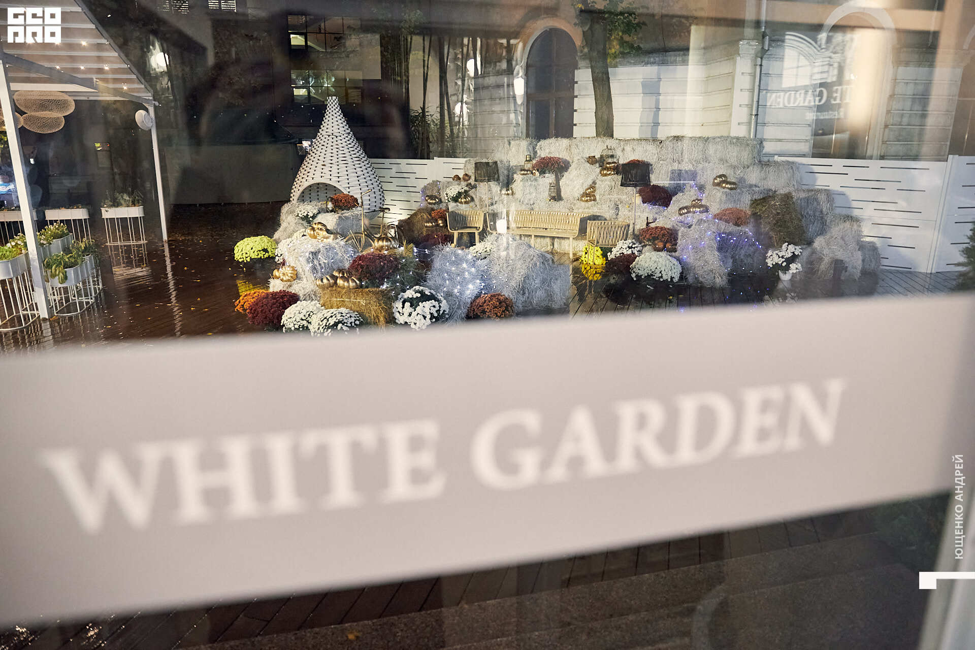 002 IMG_2893  FHD.jpg