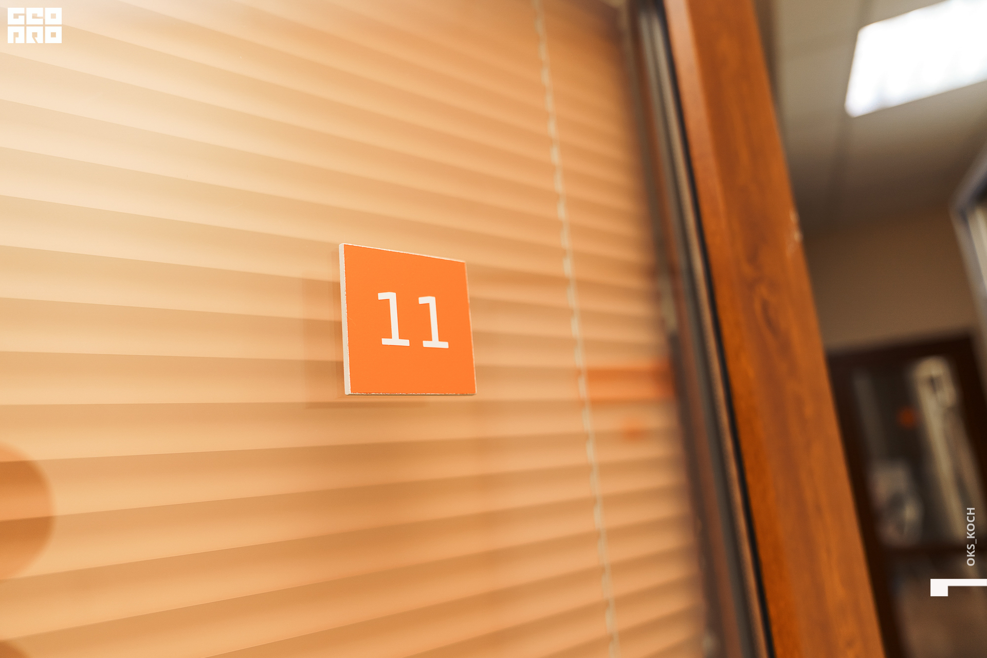 _ачвспмр (11).jpeg