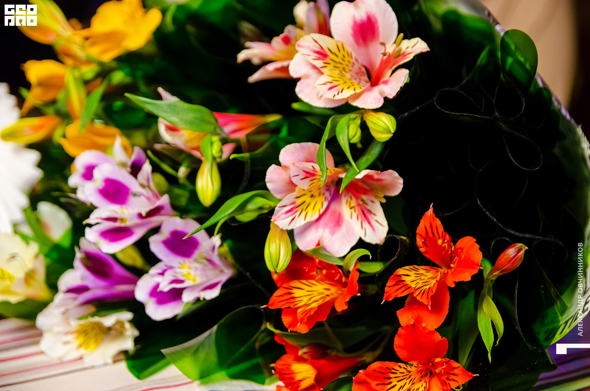 Фото 144 копия.jpg