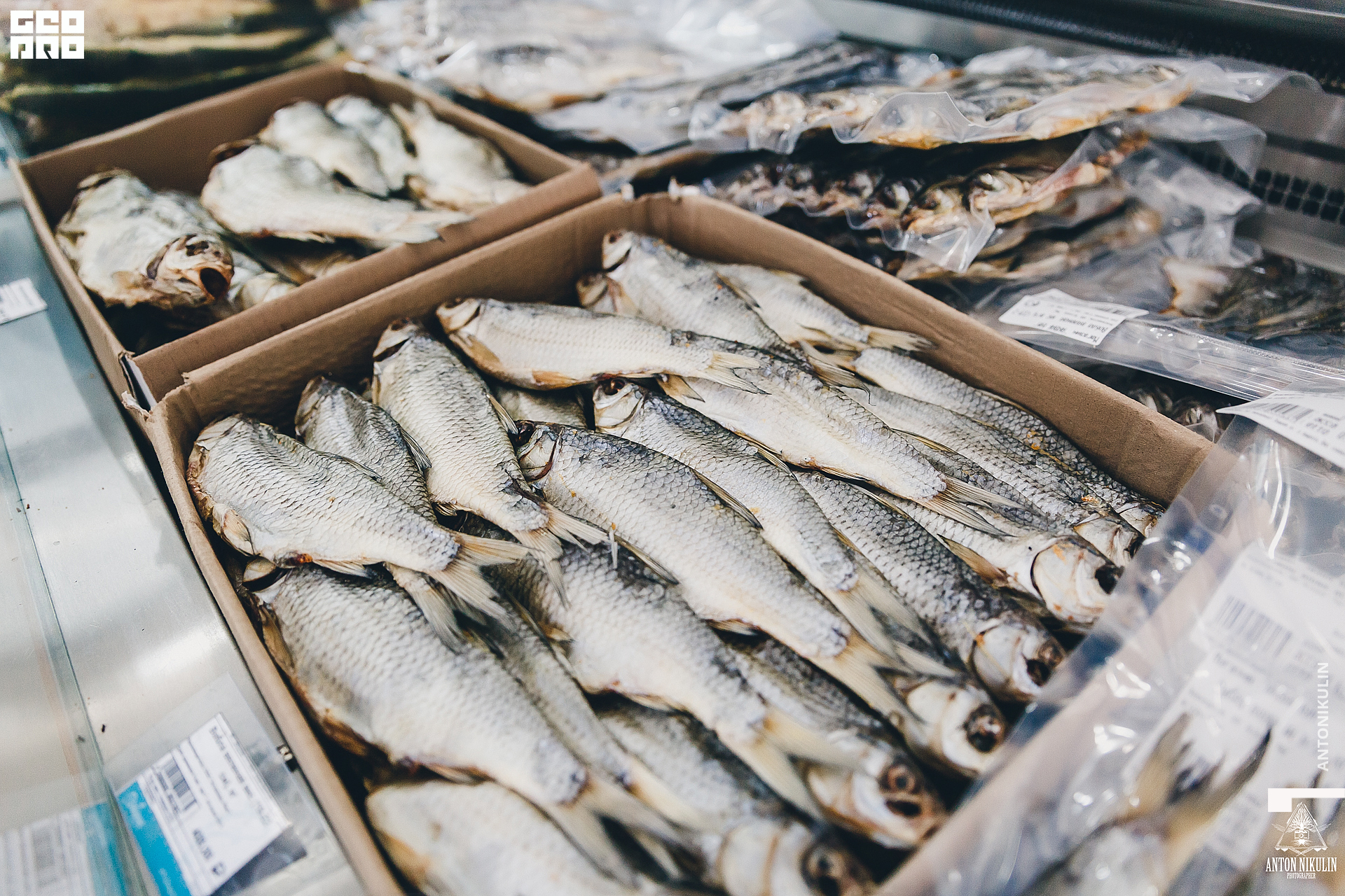 untitled shoot-9774.jpg