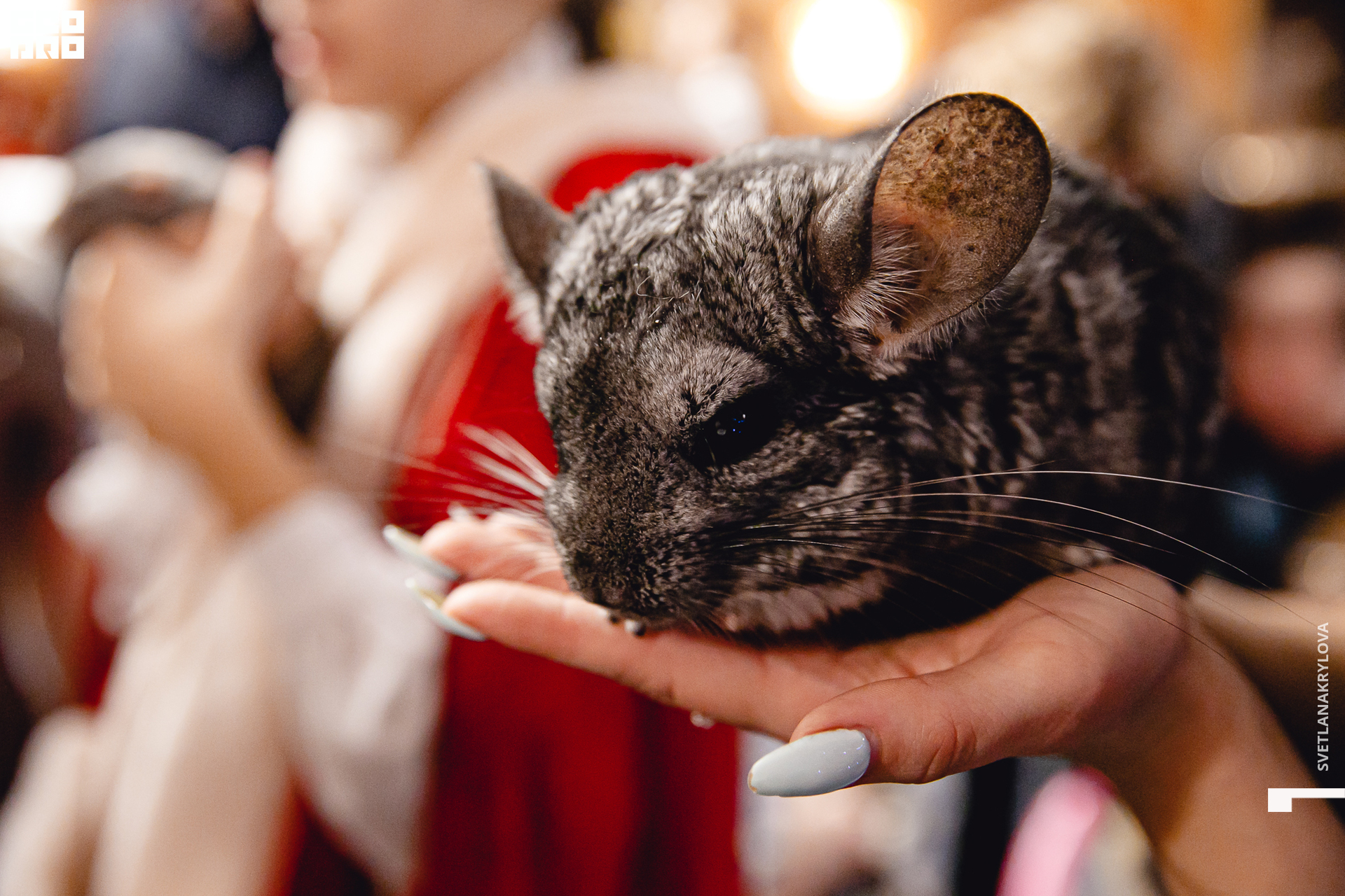 2019-12-22 16-00-00 Krylova_0027.jpg