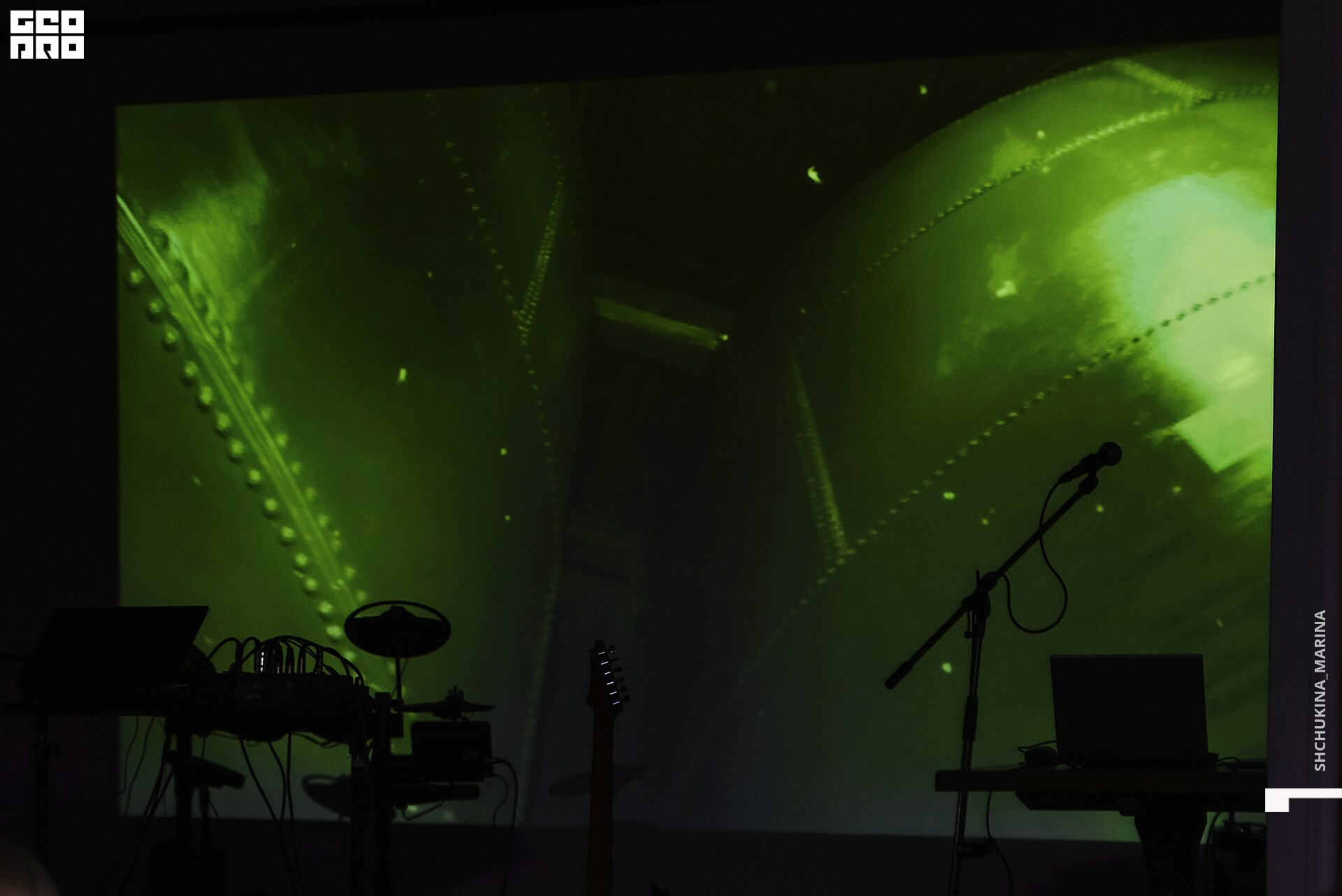 03.11.2019 цвет-272.jpg