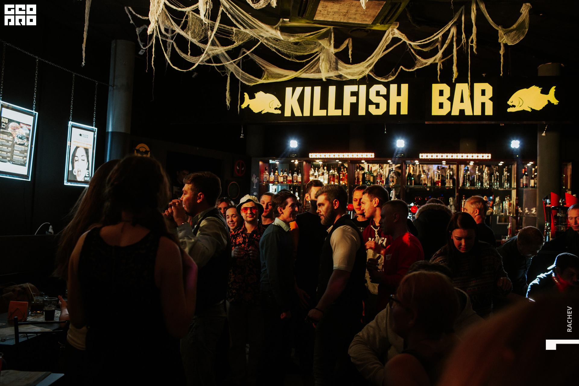 killfish-167.jpg