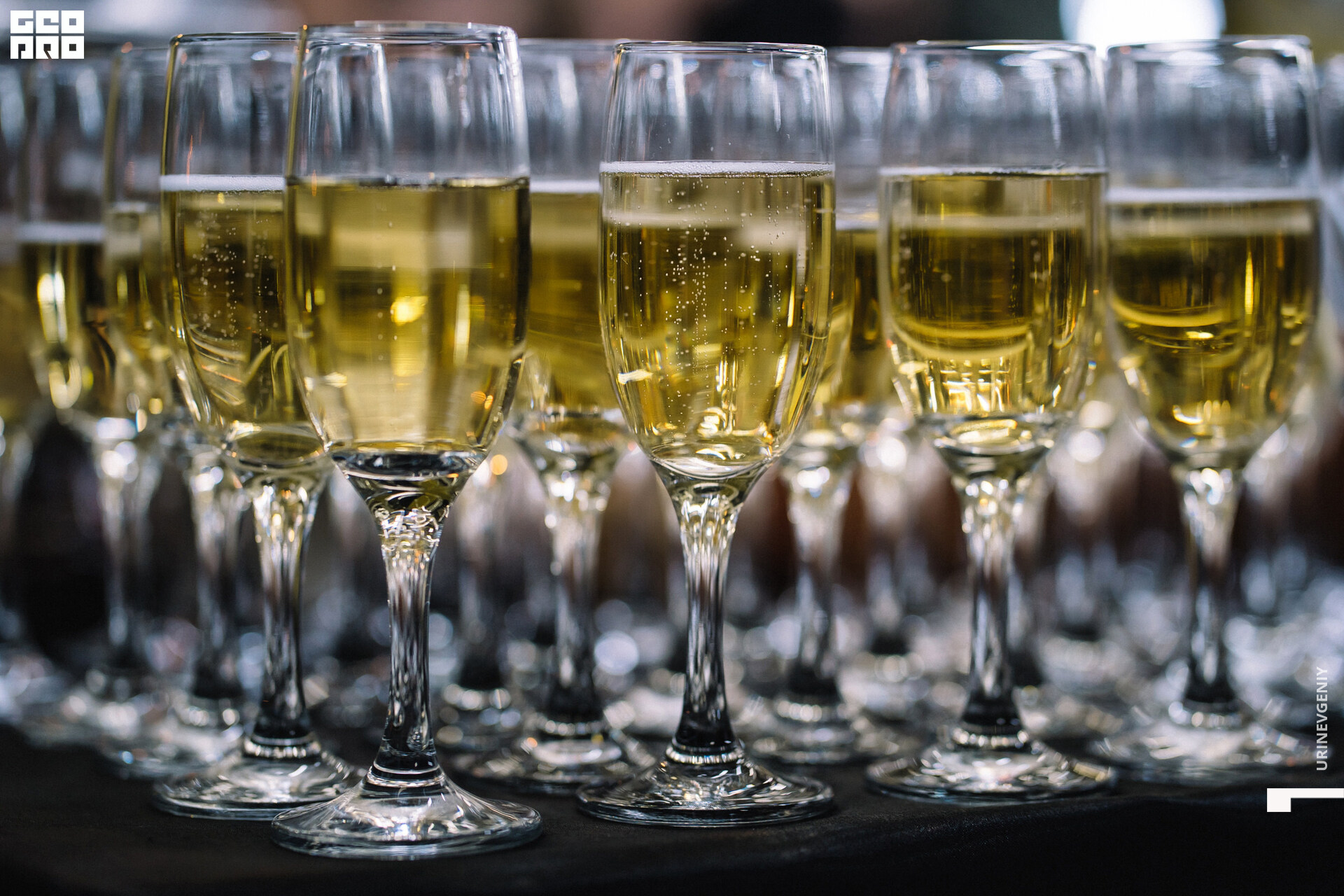 29.11. octagon fit (11).jpg