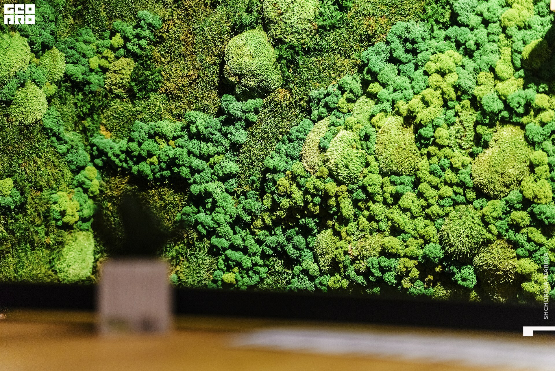  31.10.2019 цвет-140.jpg