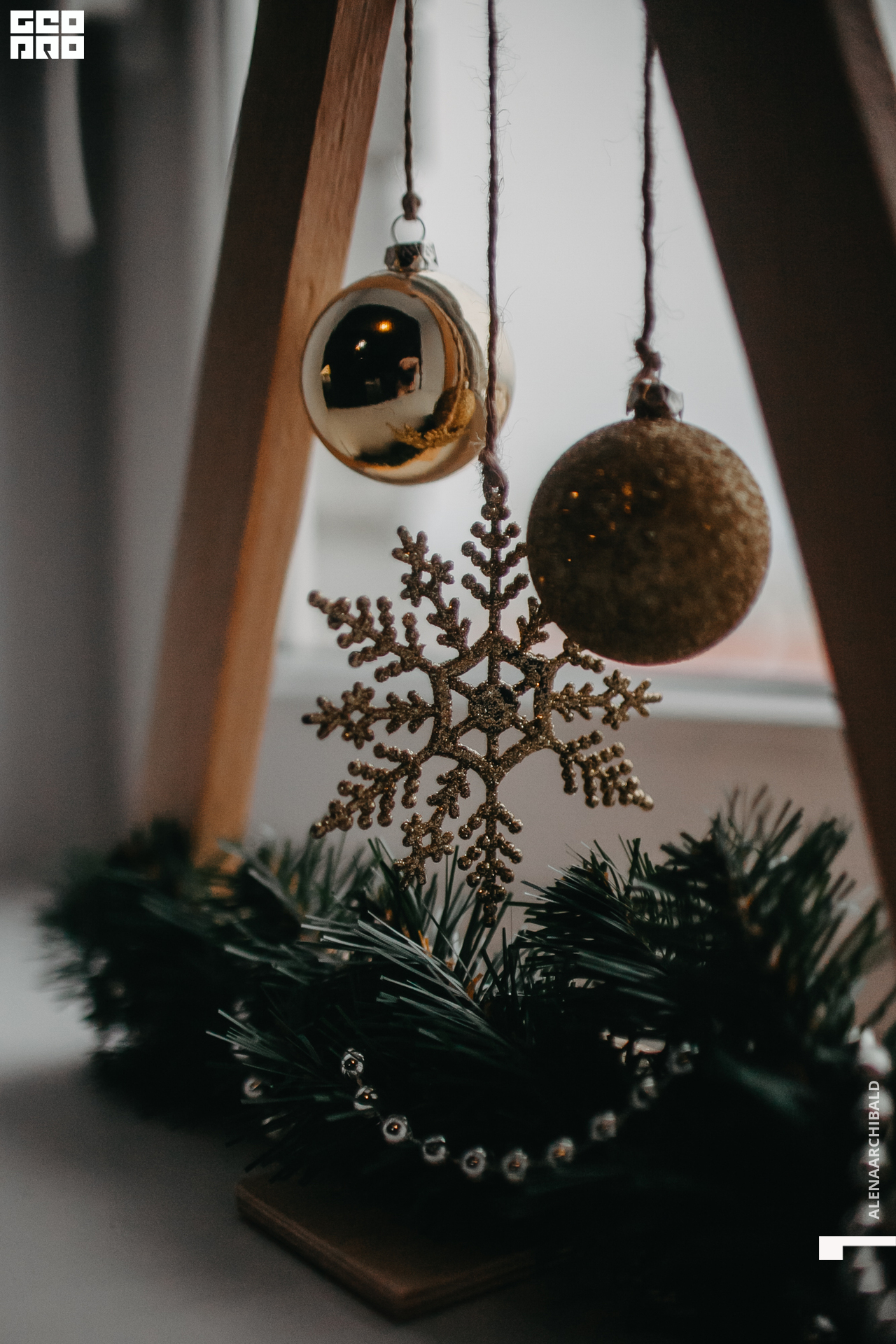 2019-12-07 13-00-45_alenaarchibald_0062.jpg