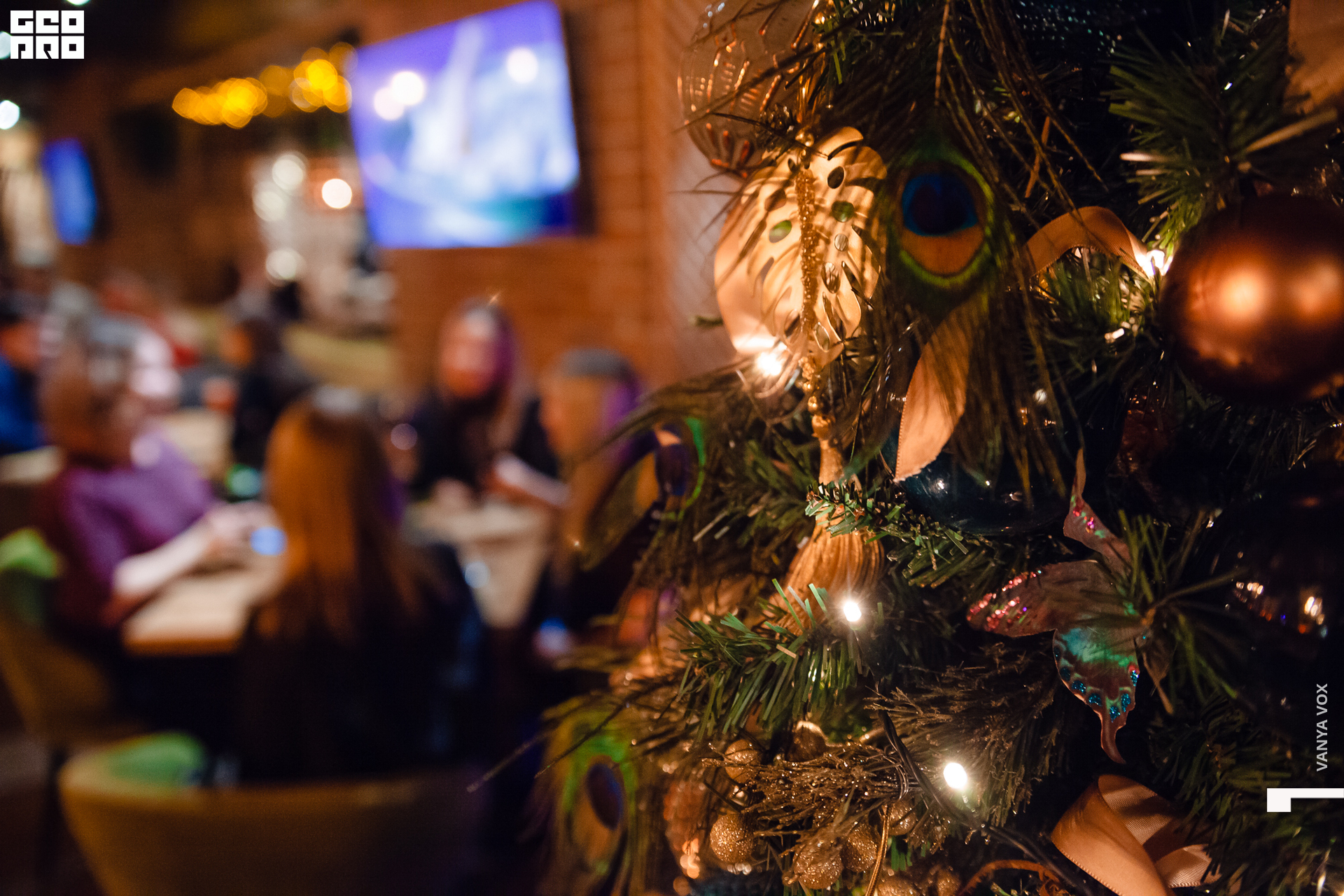 2019-12-06 20-00-00_Вокс_0027.jpg