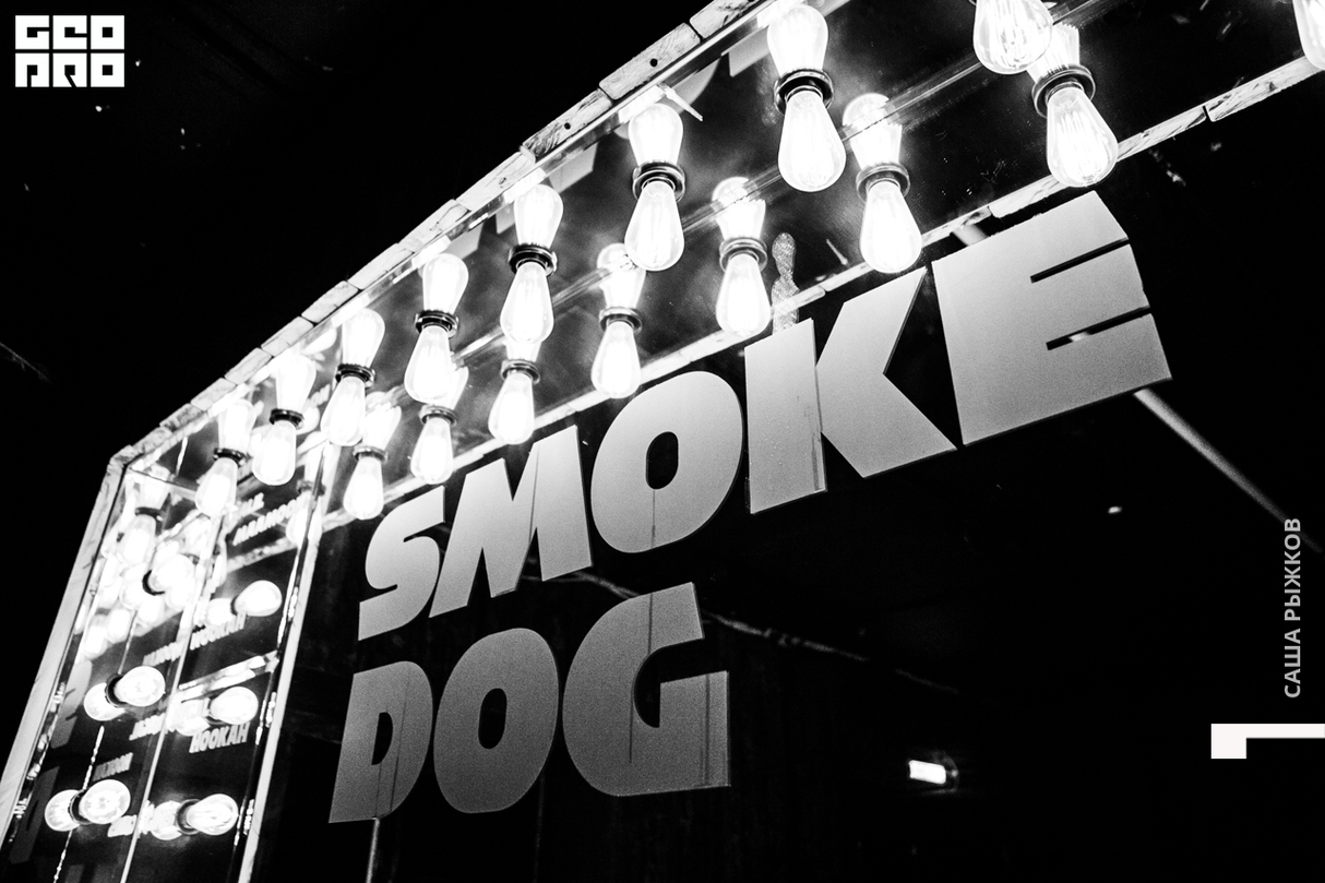 Halloween || Smoke Dog 11