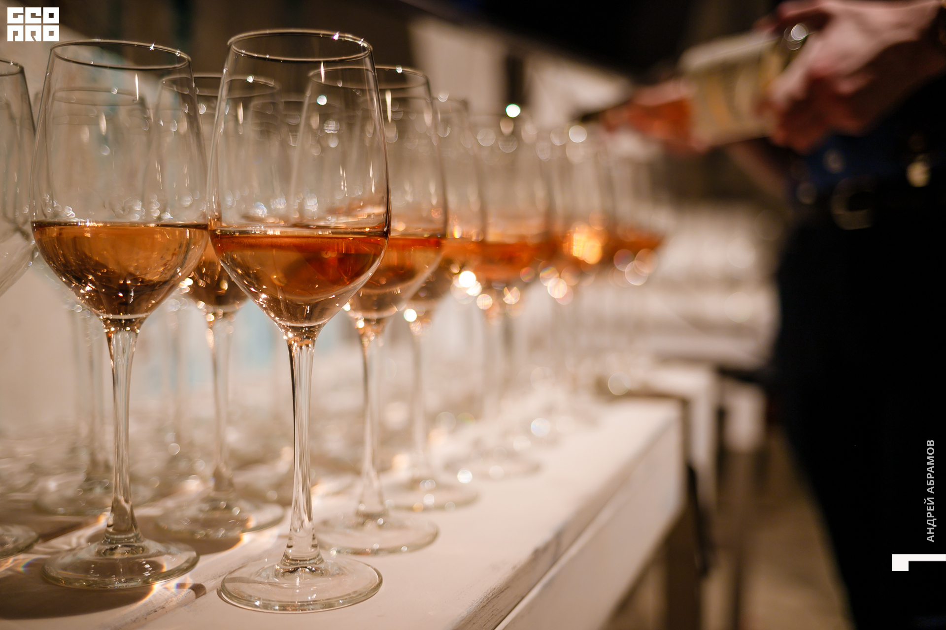 241019 Гастроужин Птичка0038.jpg