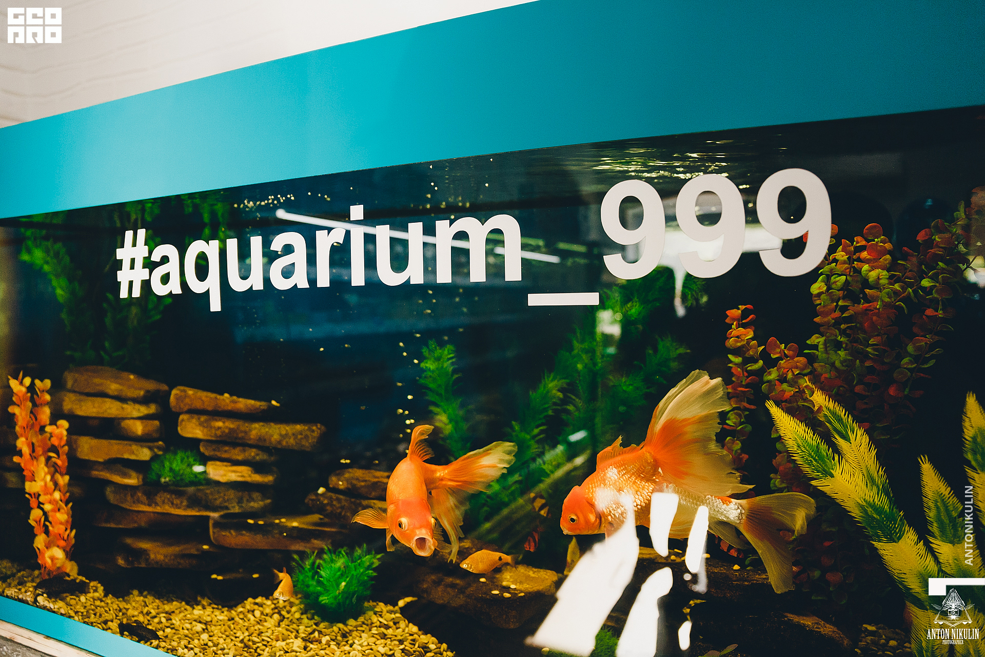 untitled shoot-9574.jpg