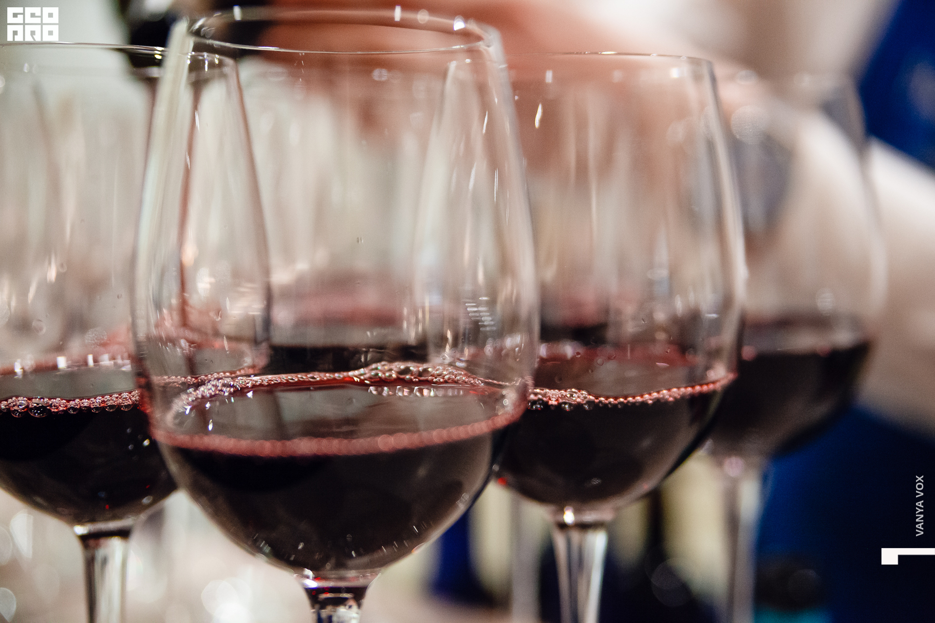 2019-12-04 19-00-00_Вокс_0098.jpg