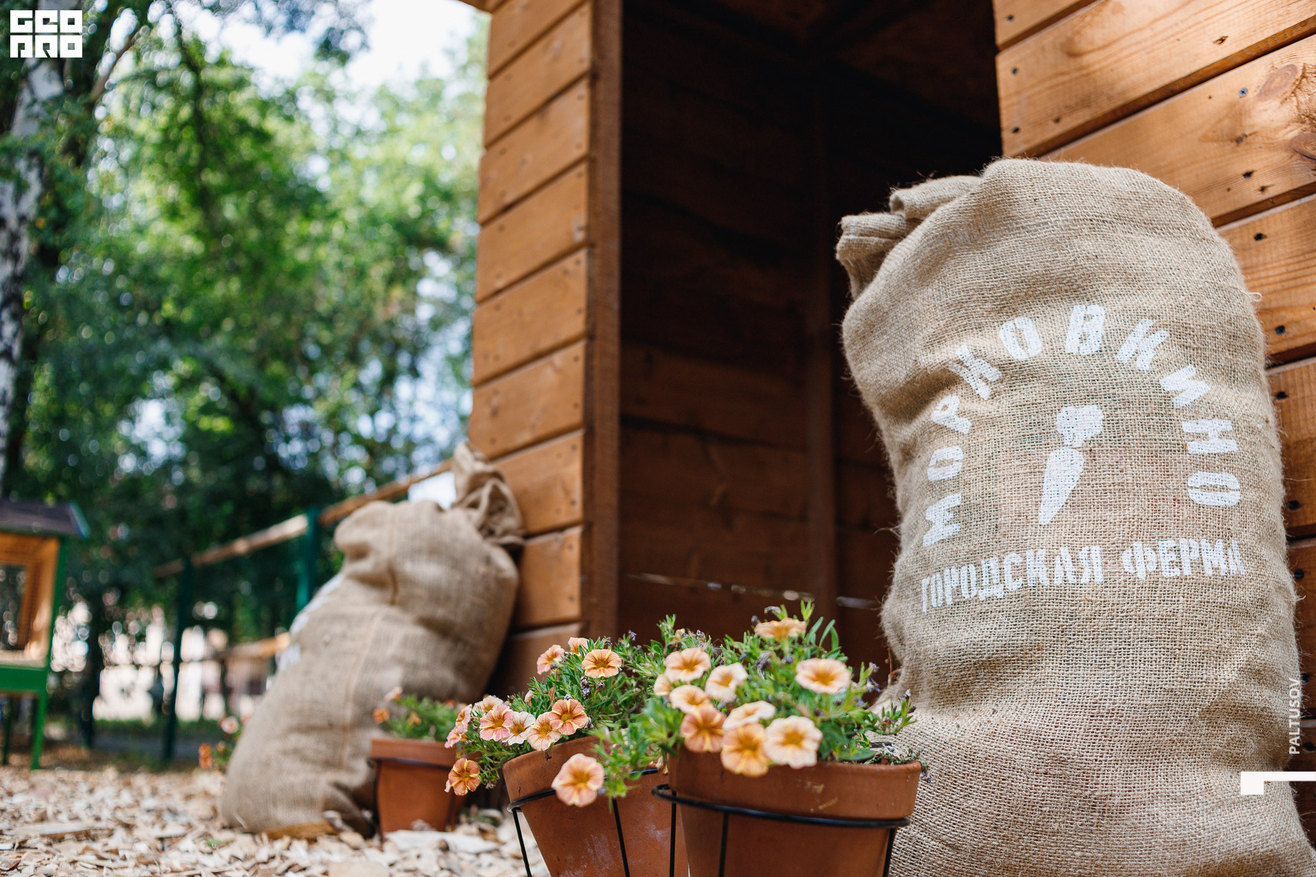 084-2020-07-25-16-48-11 - Paltusov.jpg