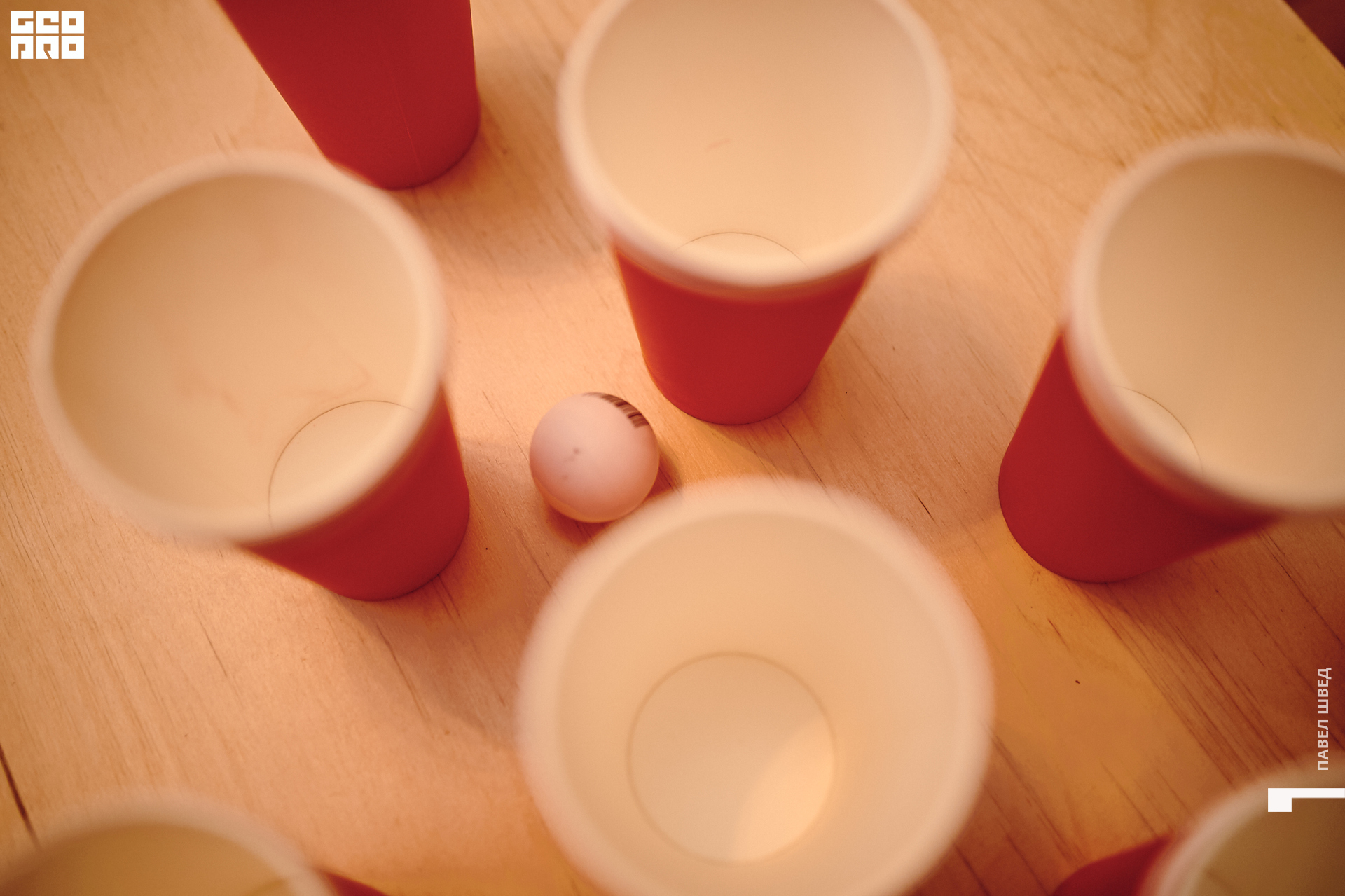 2019-10-13 12-30-028_SHVED.jpg