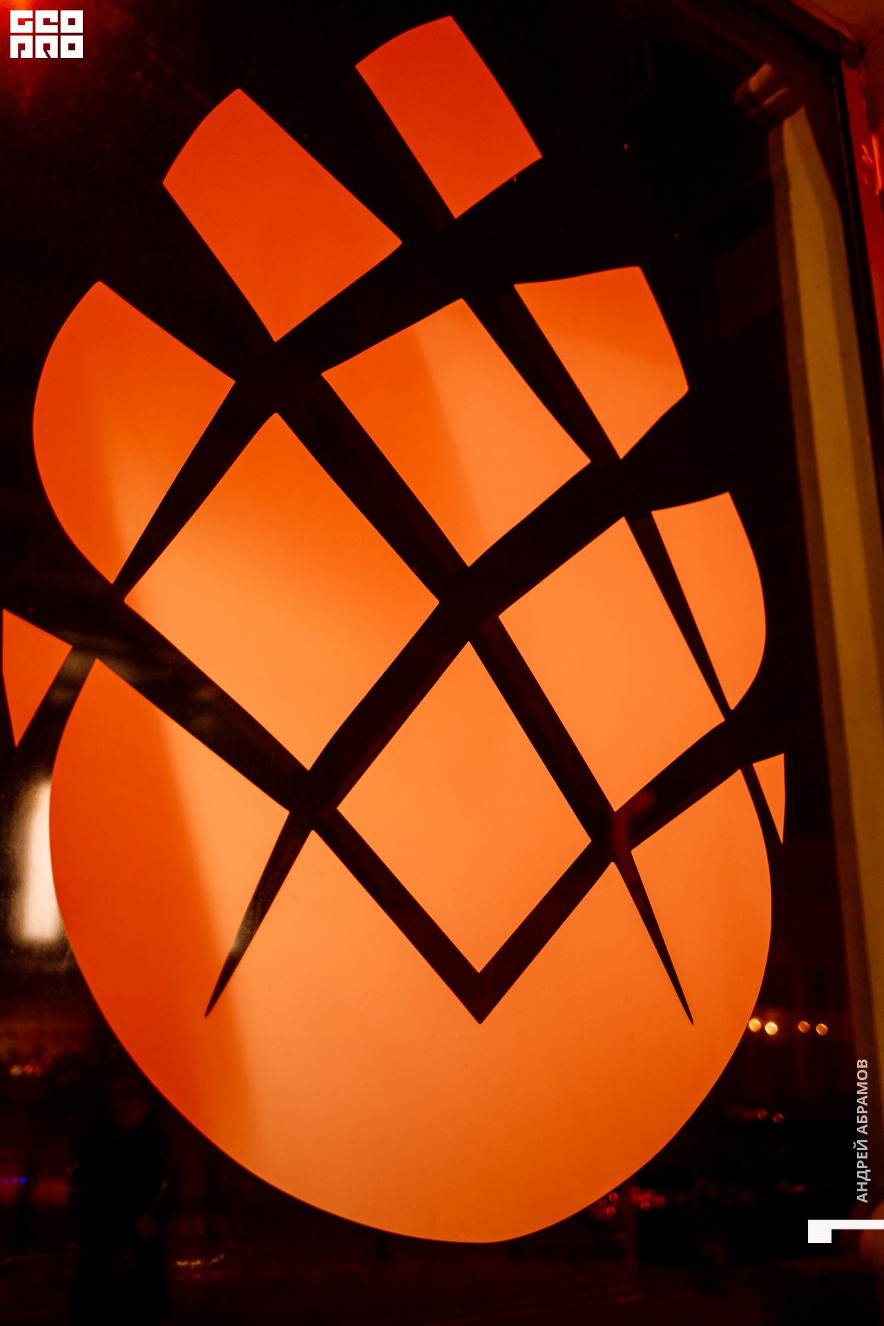 231119 Шишка Абрамов 0002.jpg