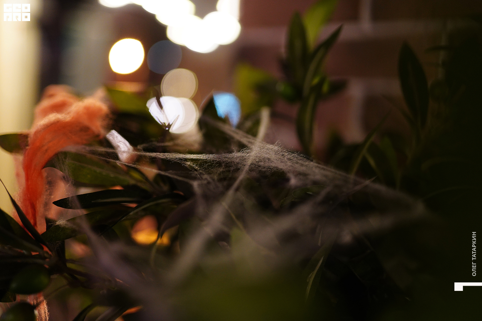 19-10-25 20-36-30_Татаркин.jpg