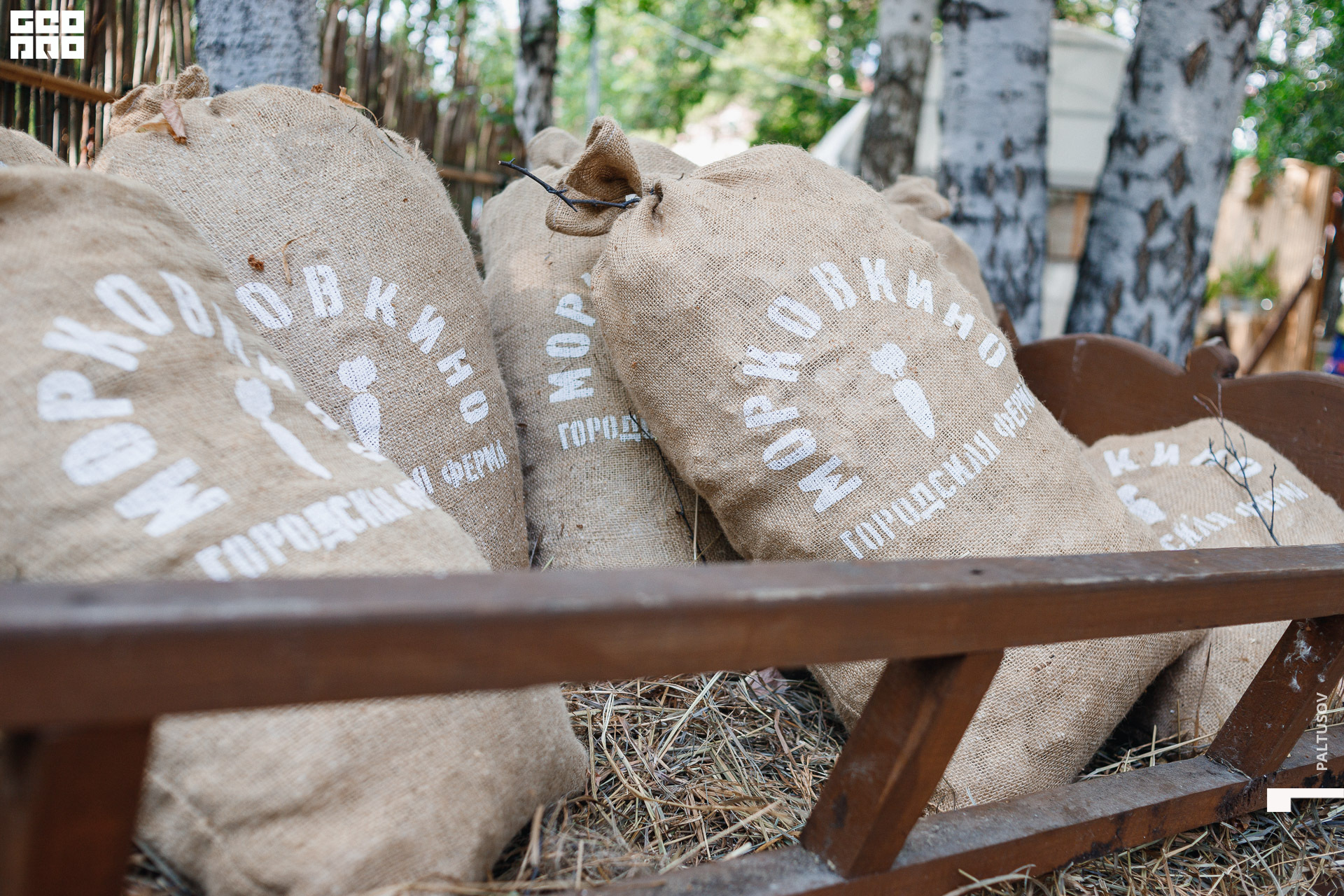 085-2020-07-25-16-52-10 - Paltusov.jpg