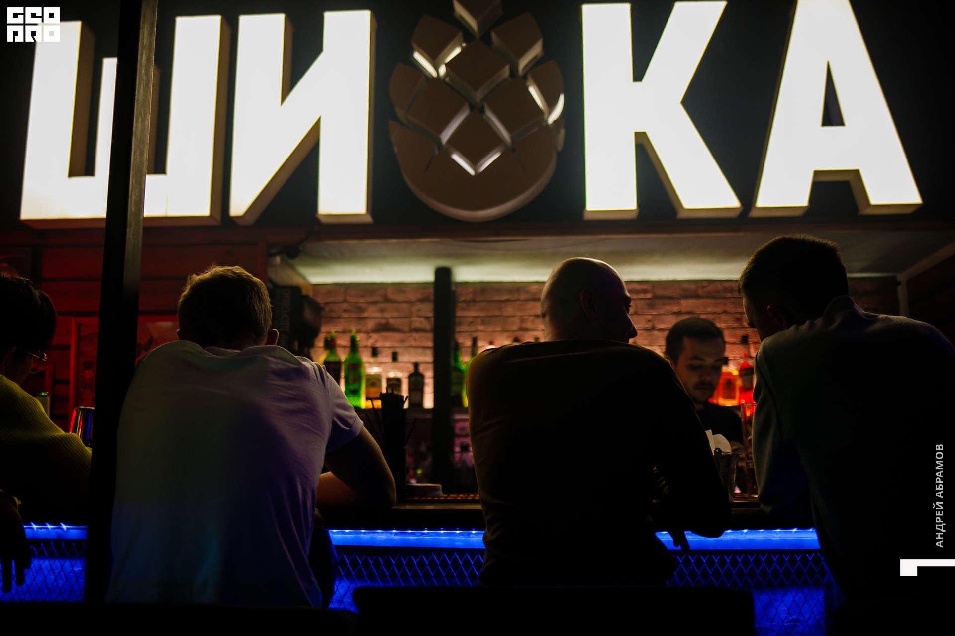 231119 Шишка Абрамов 0006.jpg