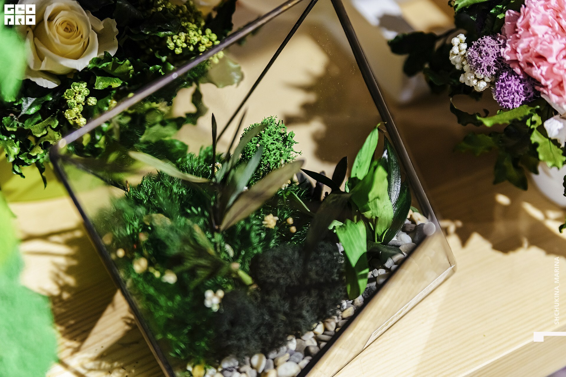  31.10.2019 цвет-143.jpg