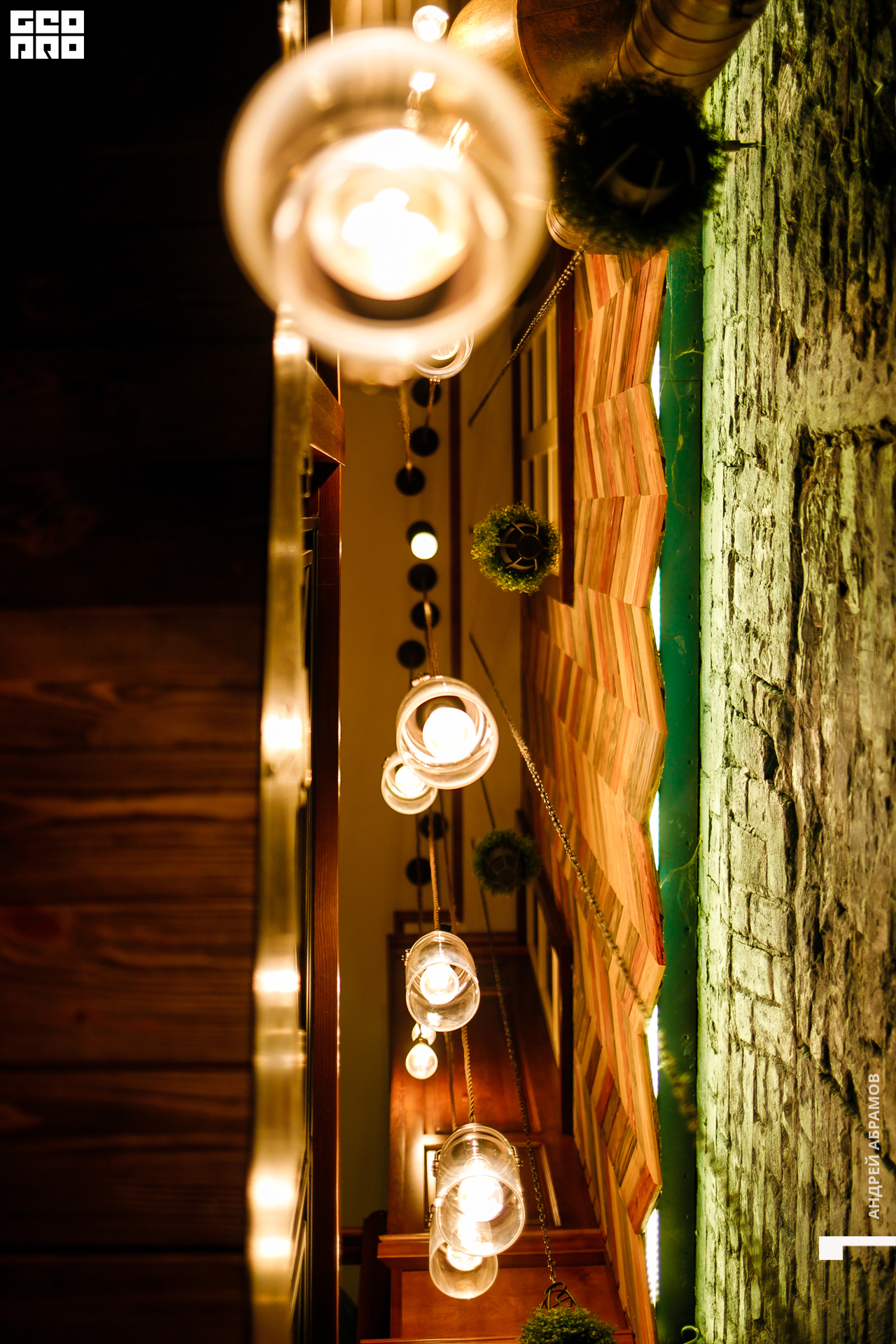 221119 Птичка Абрамов 0093.jpg