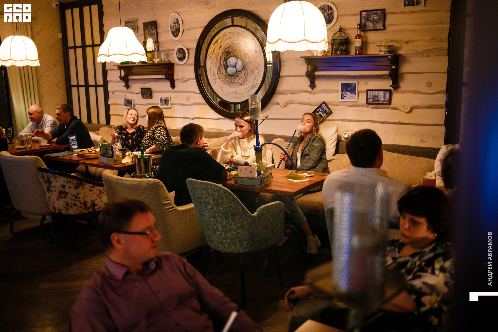 081119 Птичка Абрамов 0054.jpg