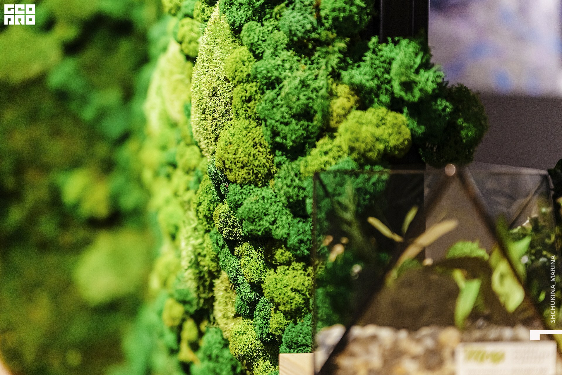  31.10.2019 цвет-138.jpg